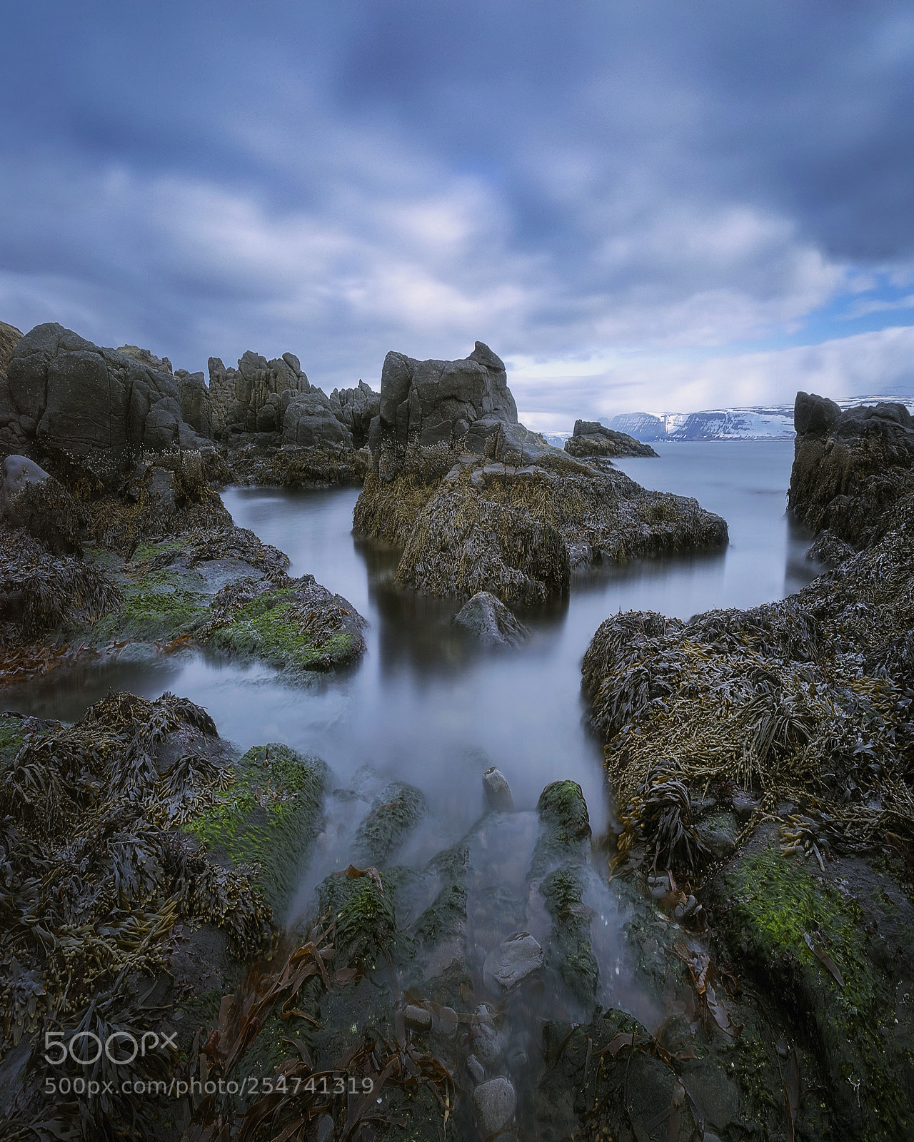Canon EOS-1D X Mark II sample photo. Low tide transformation photography