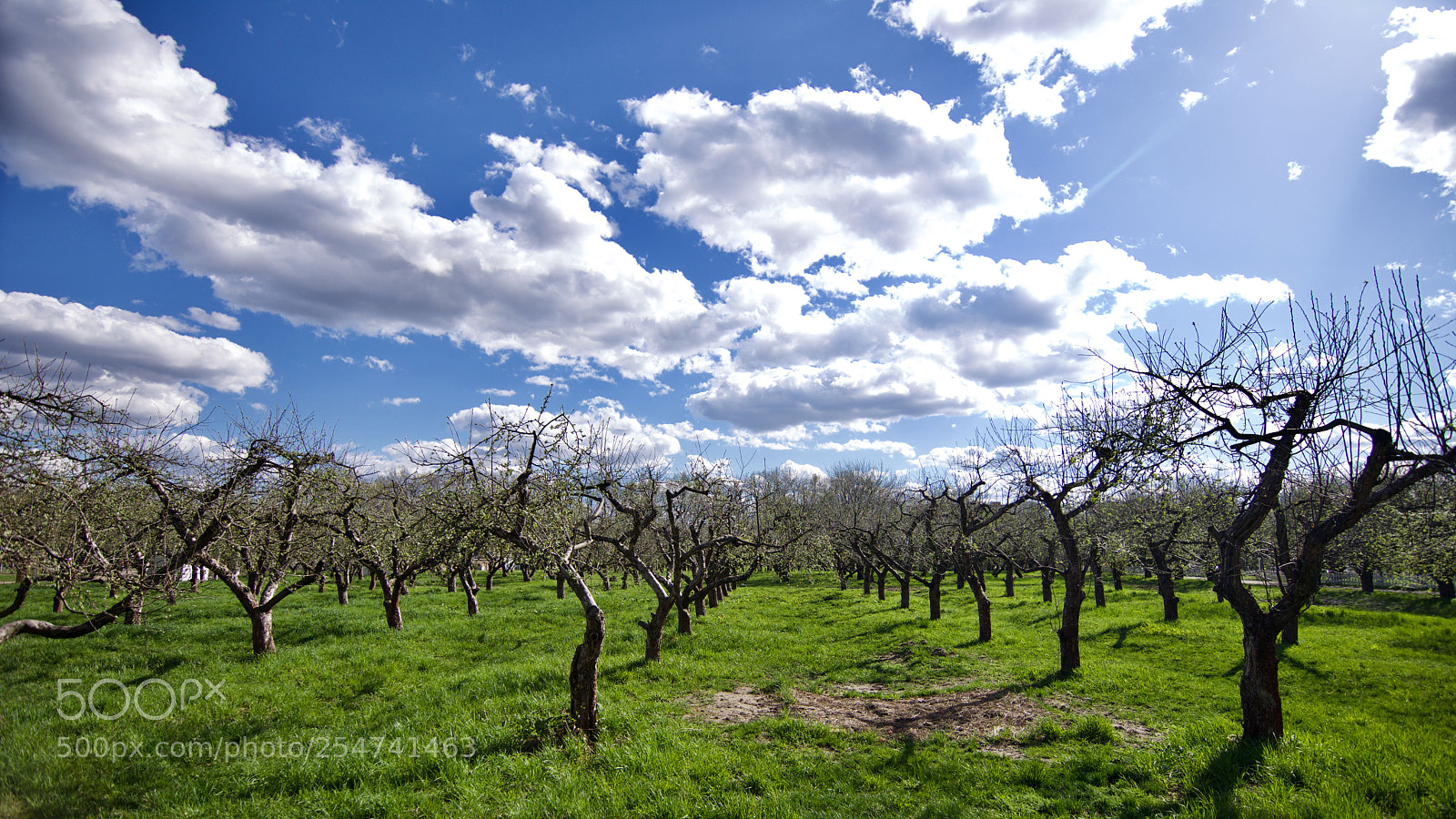 Nikon D7200 sample photo. Sunny day in kiev photography