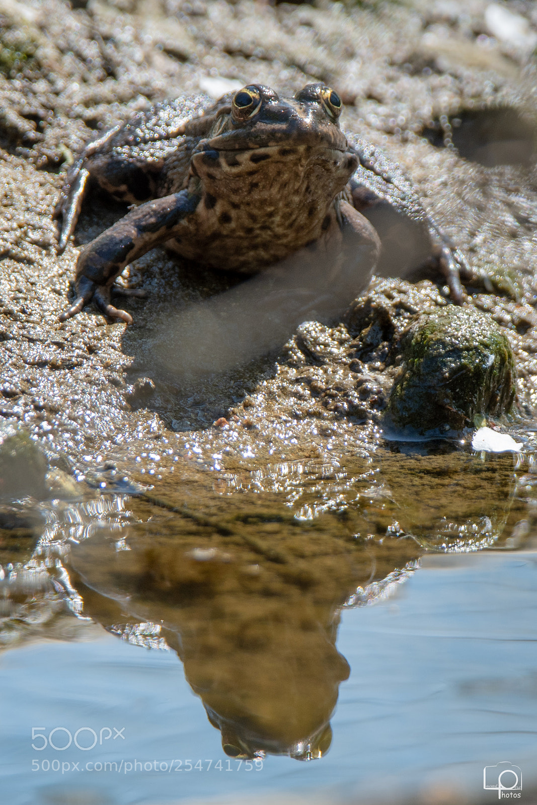 Nikon D7500 sample photo. Lp photography