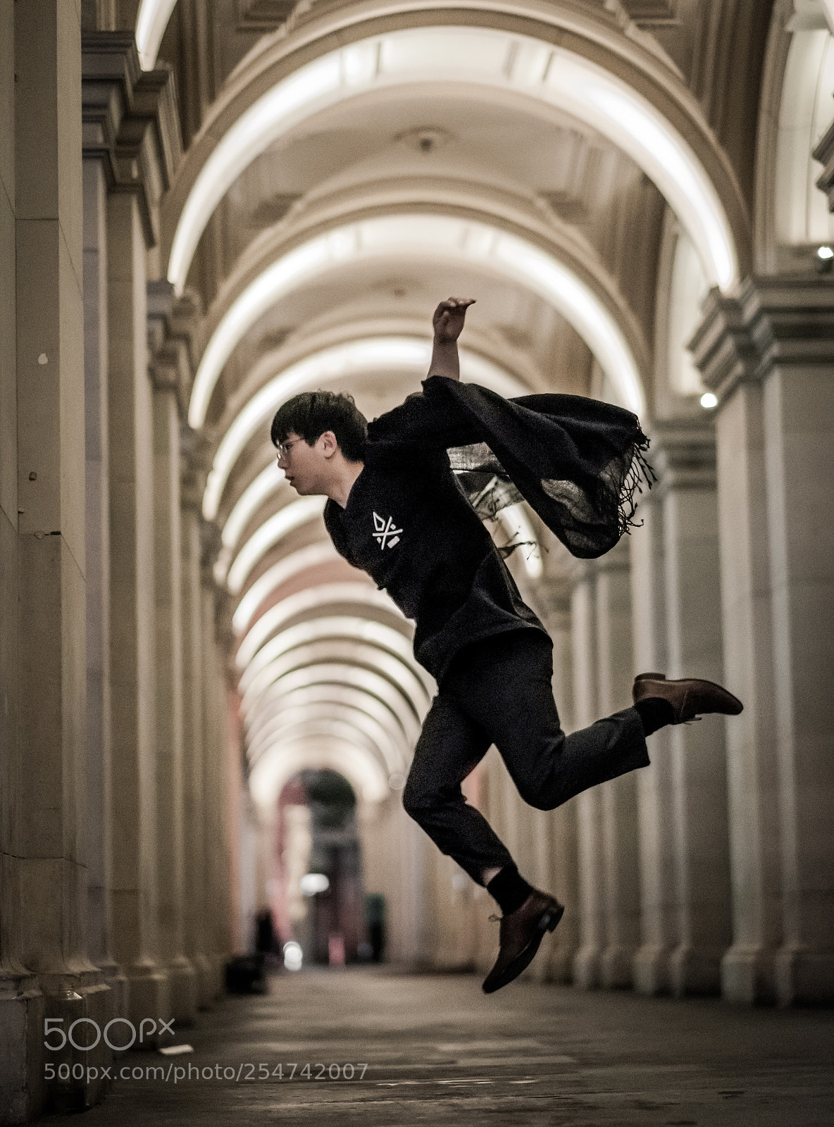 Fujifilm X-T20 sample photo. Fly photography