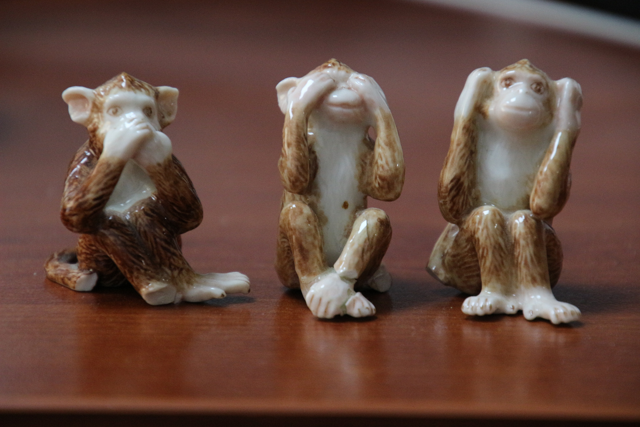 Canon EOS 100D (EOS Rebel SL1 / EOS Kiss X7) sample photo. Monkeys or humans photography