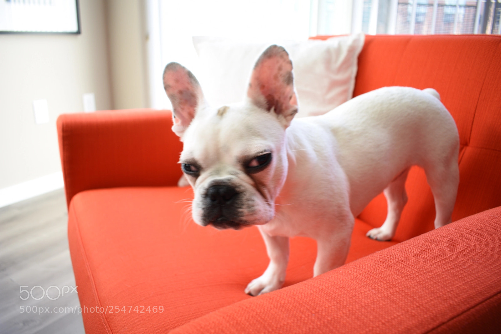 Nikon D3400 sample photo. Happy sunday ? photography