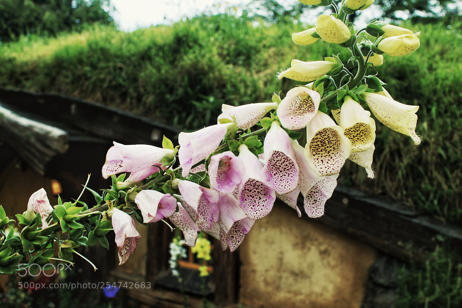 Canon EOS M sample photo. Untitled photography