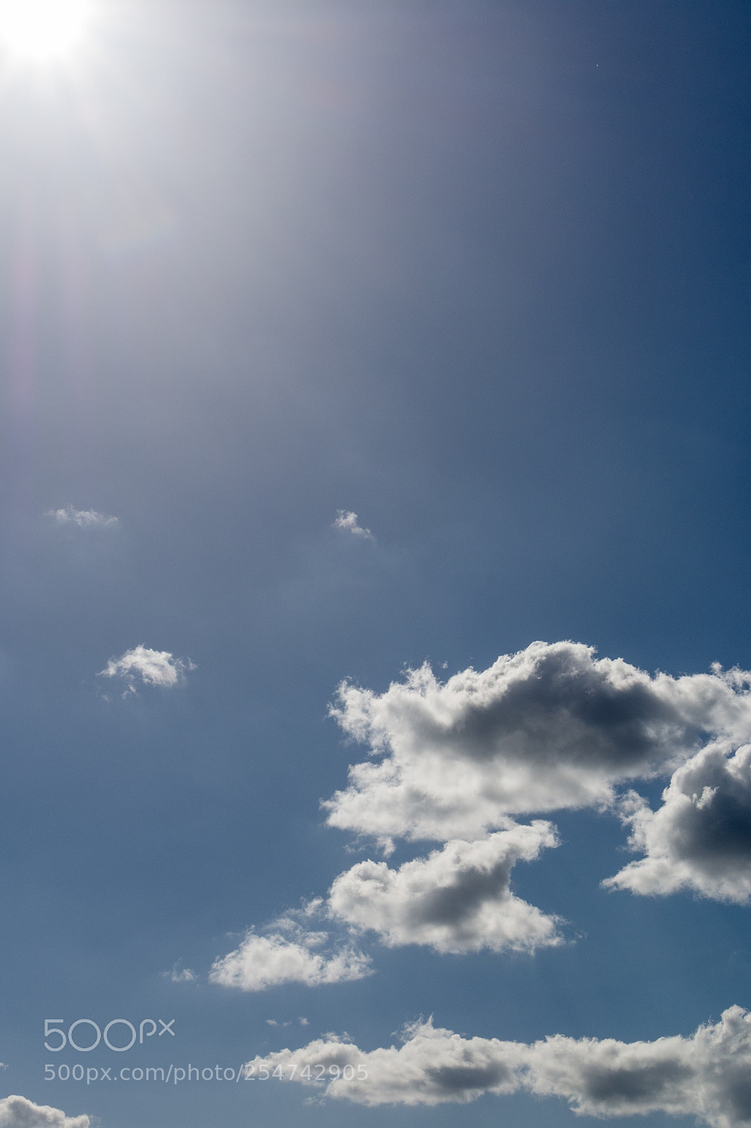 Nikon D7100 sample photo. Spring sky photography