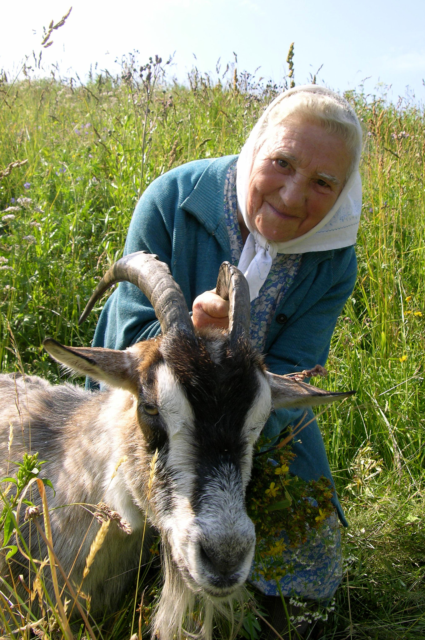 Nikon E8700 sample photo. Grandmother with a goat photography