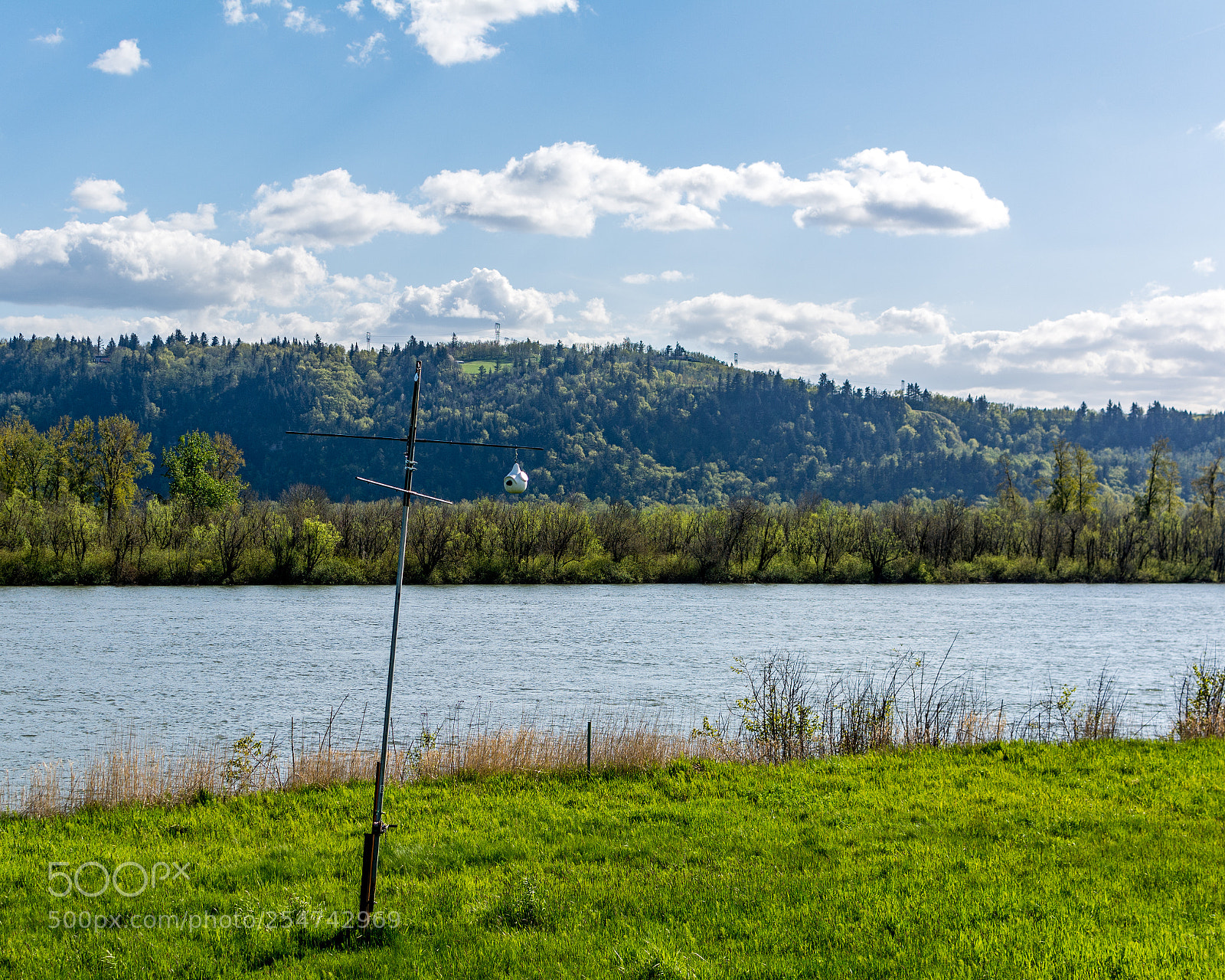 Nikon D7100 sample photo. Unexpected birdhouse photography