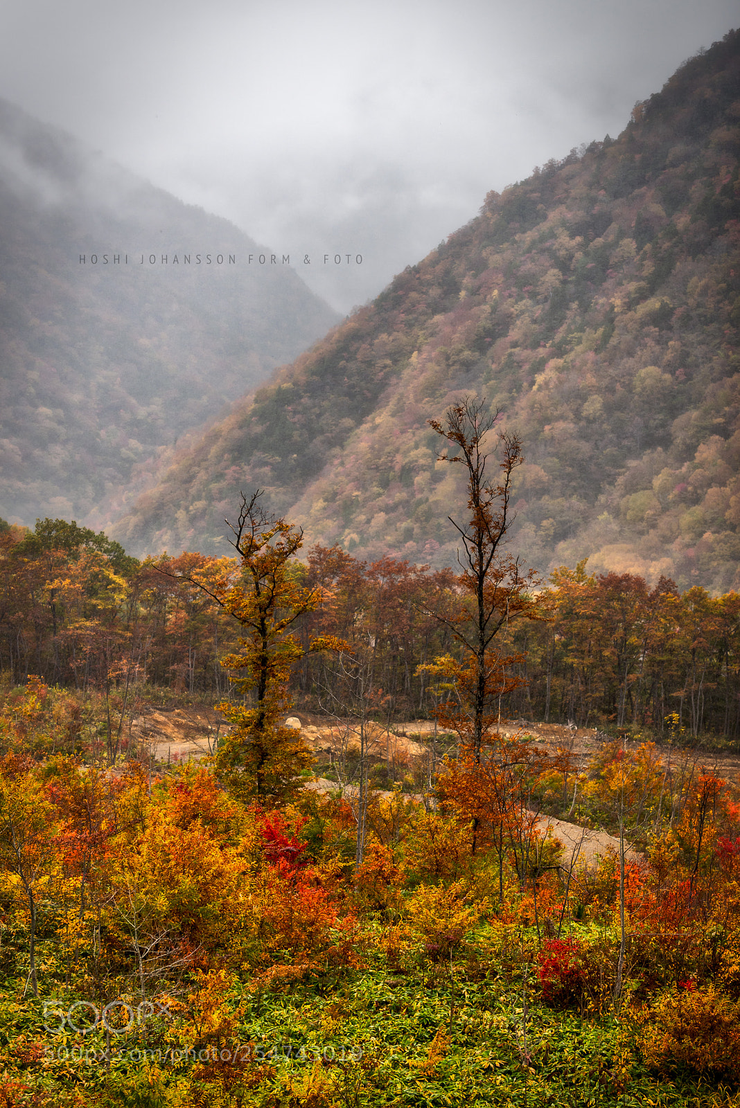 Nikon D810 sample photo. When i grow up photography
