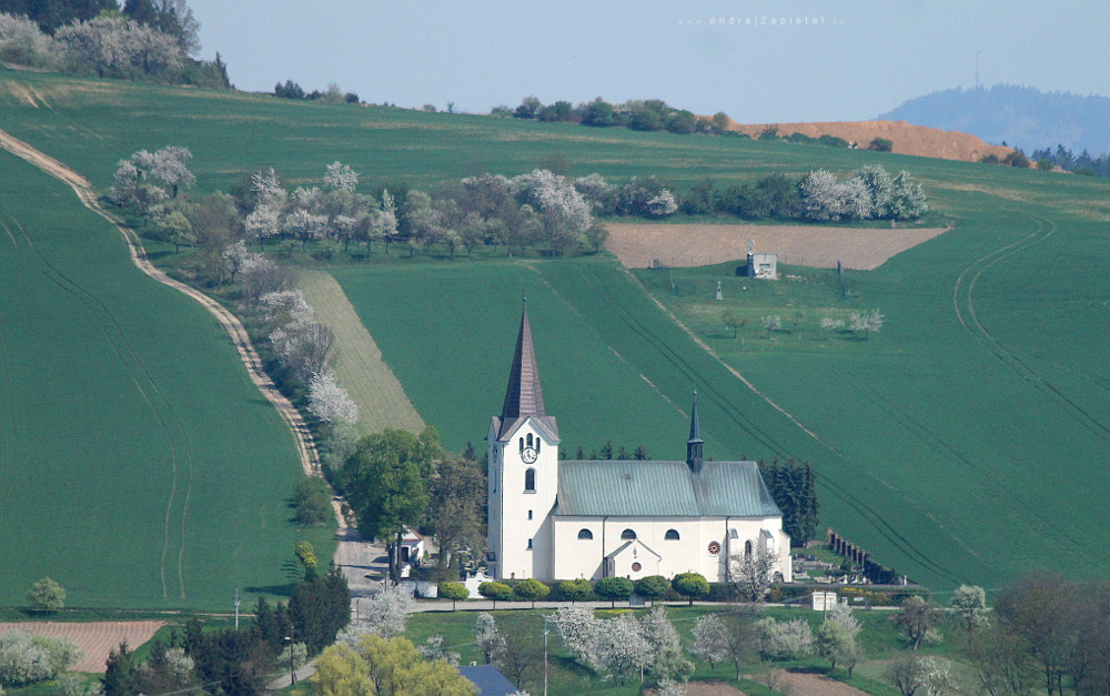 Canon EF 70-300mm F4-5.6 IS USM sample photo. White in the hill photography