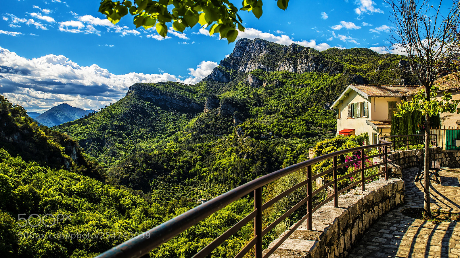 Nikon D800 sample photo. Spring in provence photography