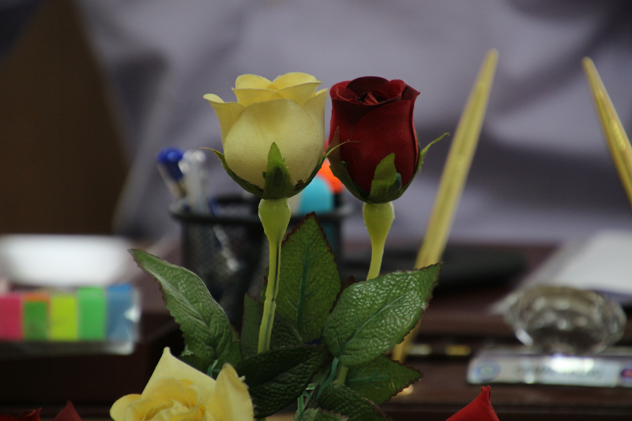 Canon EOS 100D (EOS Rebel SL1 / EOS Kiss X7) sample photo. İkizler photography