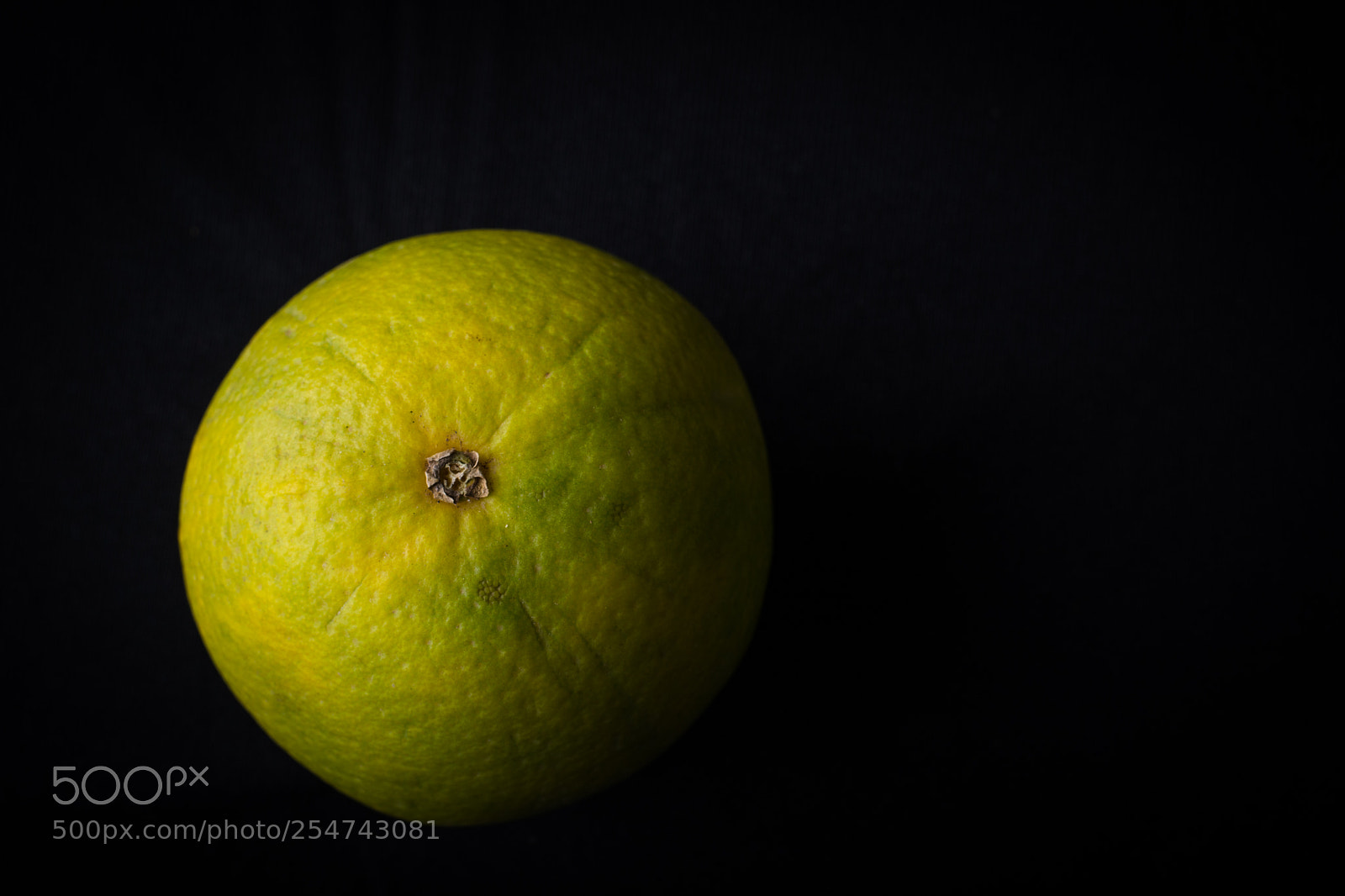 Canon EOS 6D Mark II sample photo. Orange -still life photography