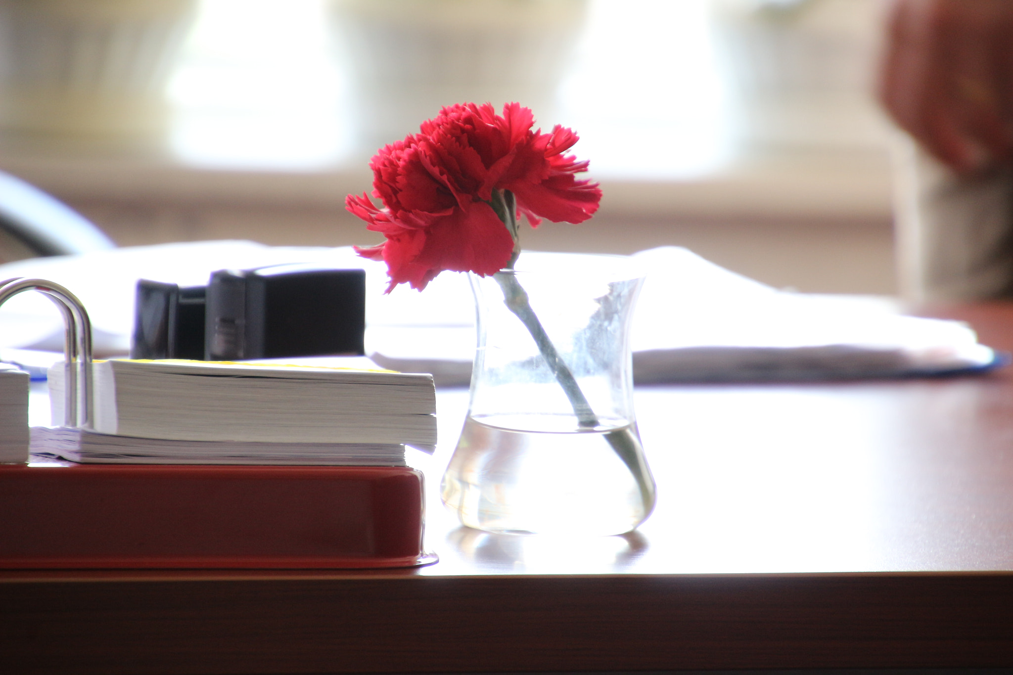 Canon EOS 100D (EOS Rebel SL1 / EOS Kiss X7) sample photo. Karanfil photography