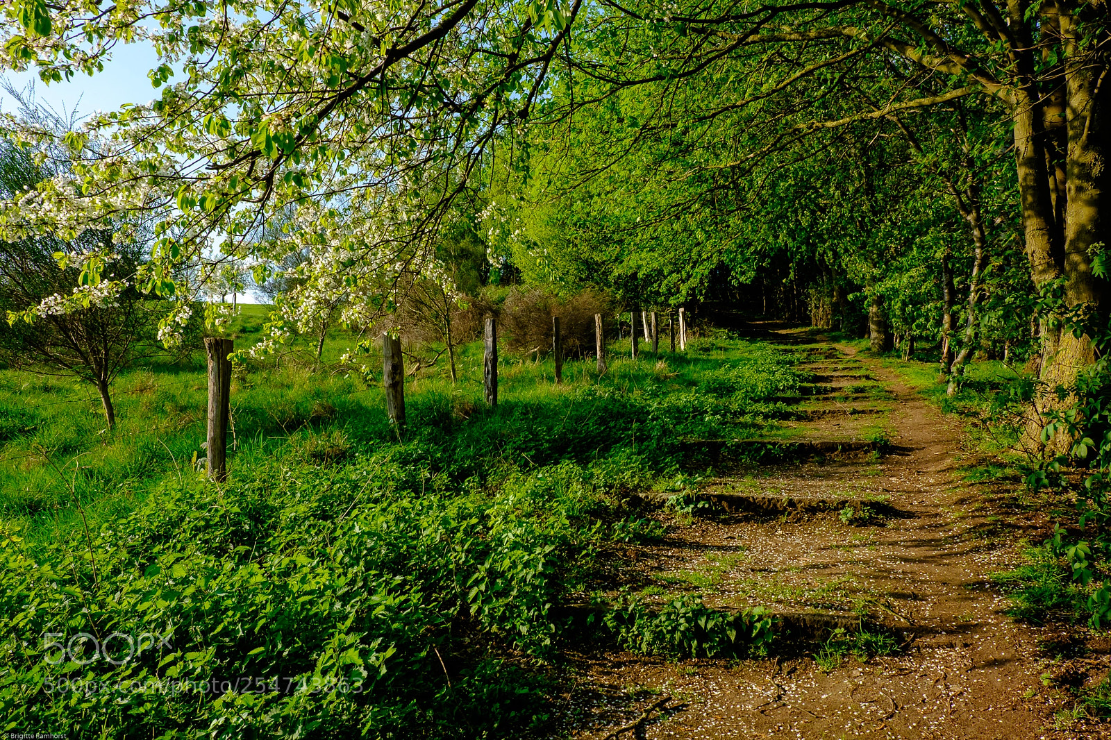 Fujifilm X-E2 sample photo. Take the long way photography