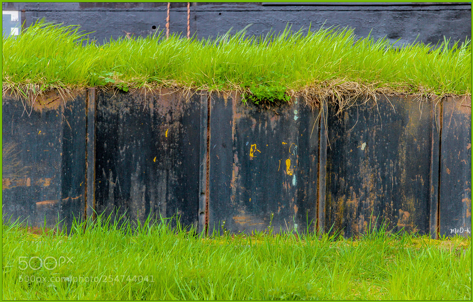 Canon EOS 600D (Rebel EOS T3i / EOS Kiss X5) sample photo. Green and black lines photography