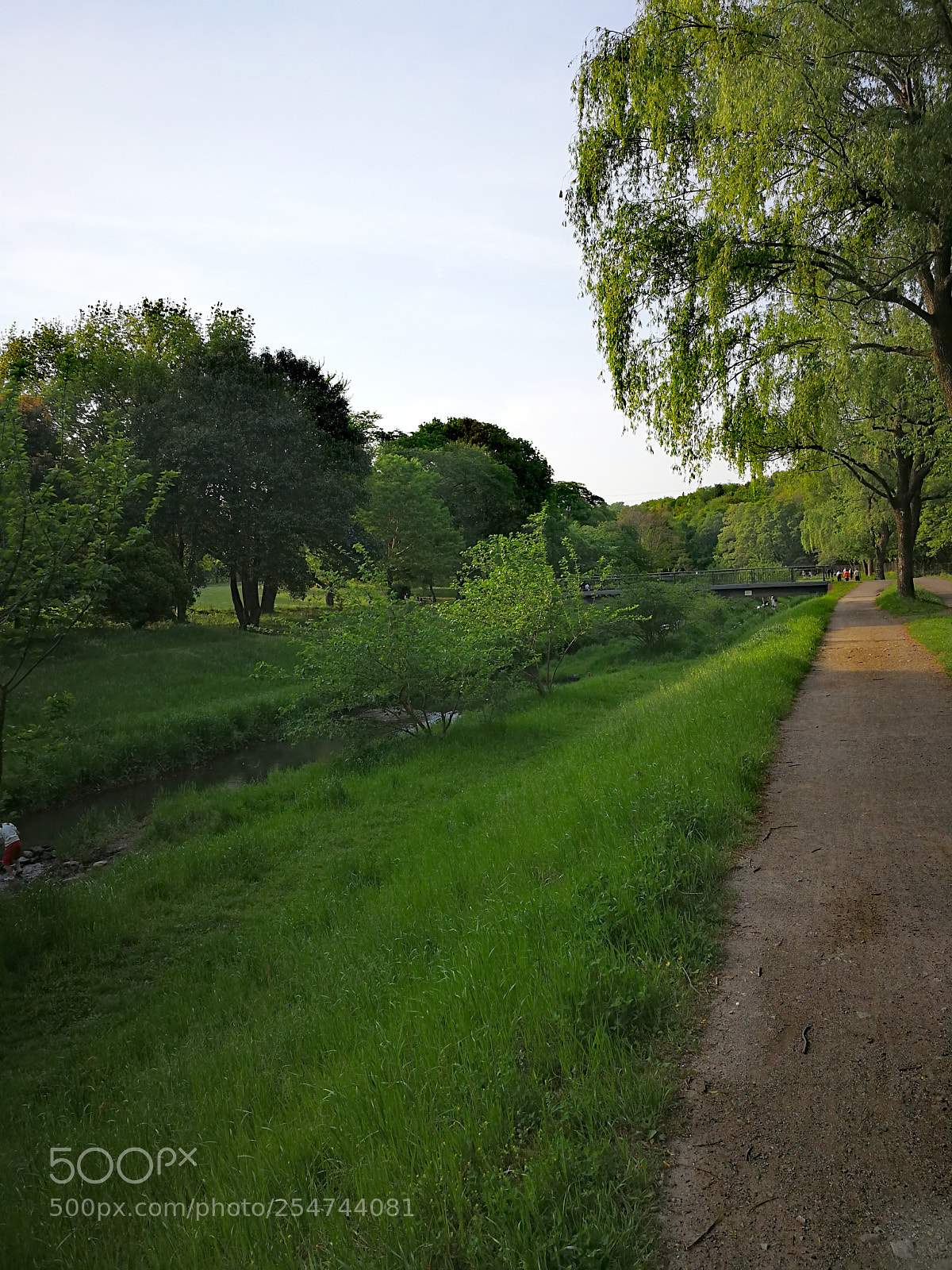 HUAWEI Mate 9 sample photo. 野川公園 photography