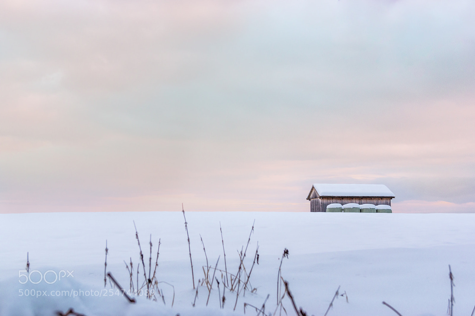 Sony SLT-A65 (SLT-A65V) sample photo. Winter landscape photography