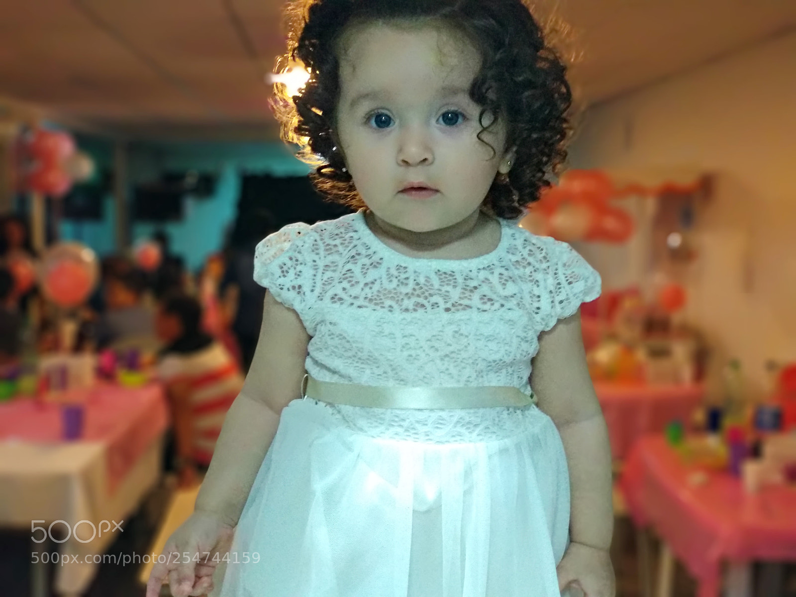 Xiaomi Mi A1 sample photo. Untitled photography
