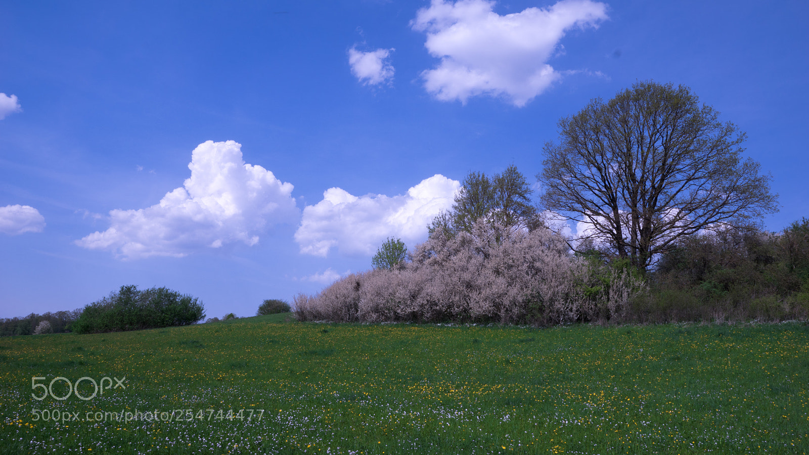 Sony ILCA-77M2 sample photo. Earth day photography