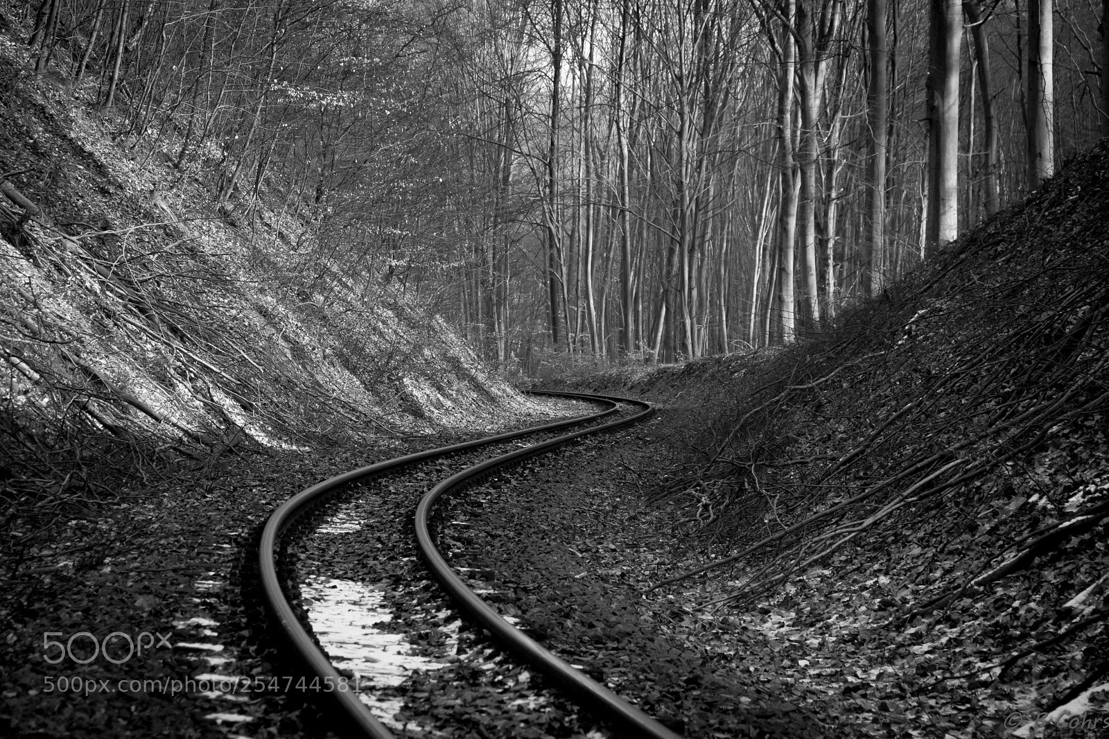 Canon EOS 500D (EOS Rebel T1i / EOS Kiss X3) sample photo. Tracks granitz photography