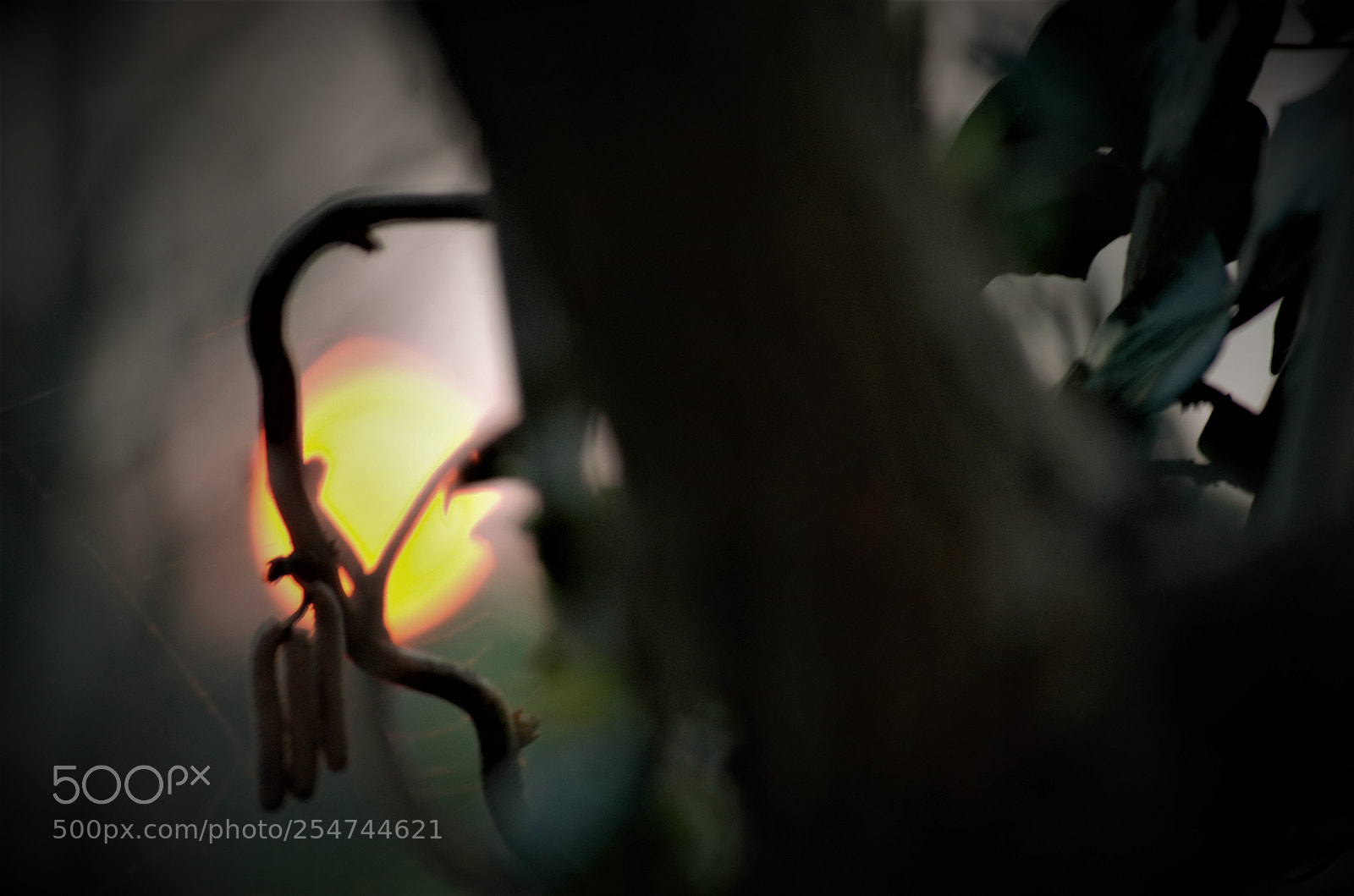 Nikon D5100 sample photo. End of day photography