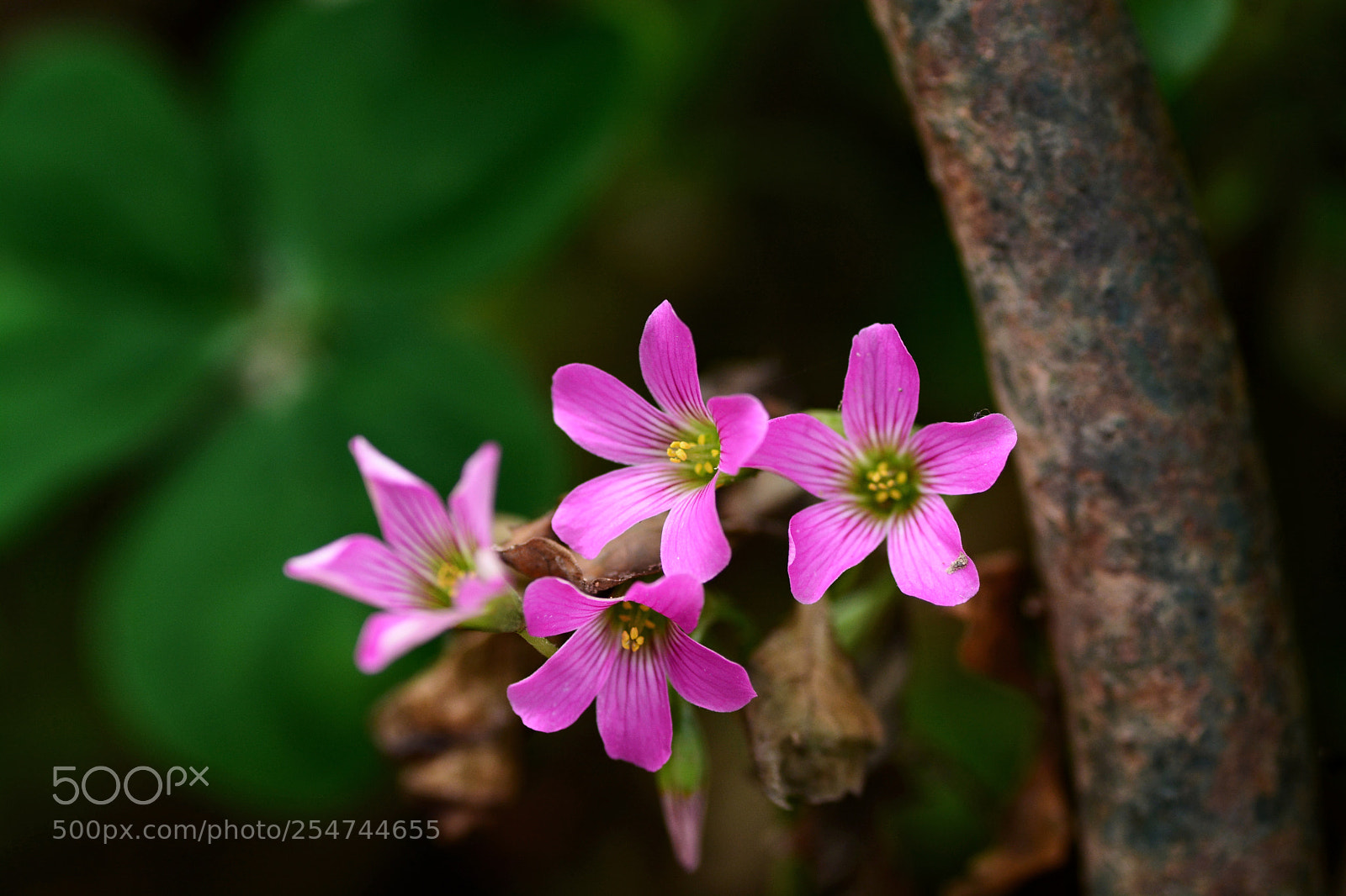 Nikon D7100 sample photo. Untitled photography
