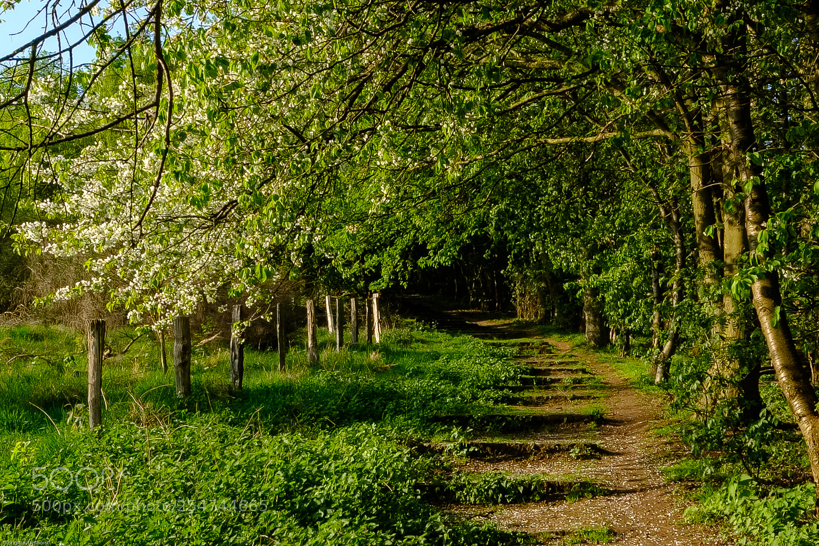 Fujifilm X-T2 sample photo. Take the long way photography