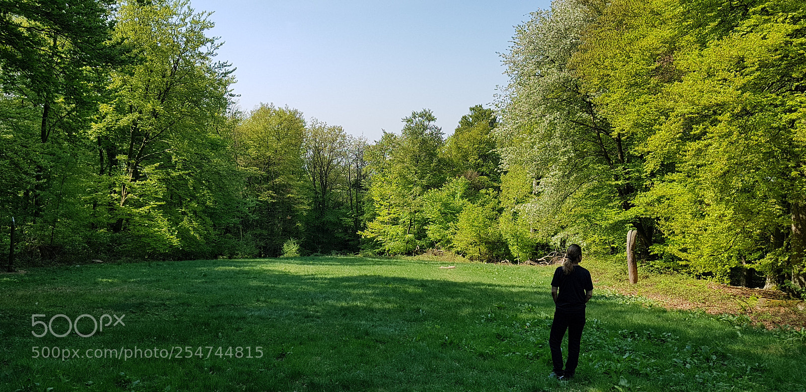 Samsung Galaxy S8+ sample photo. Kellerskopf - wiebaden photography