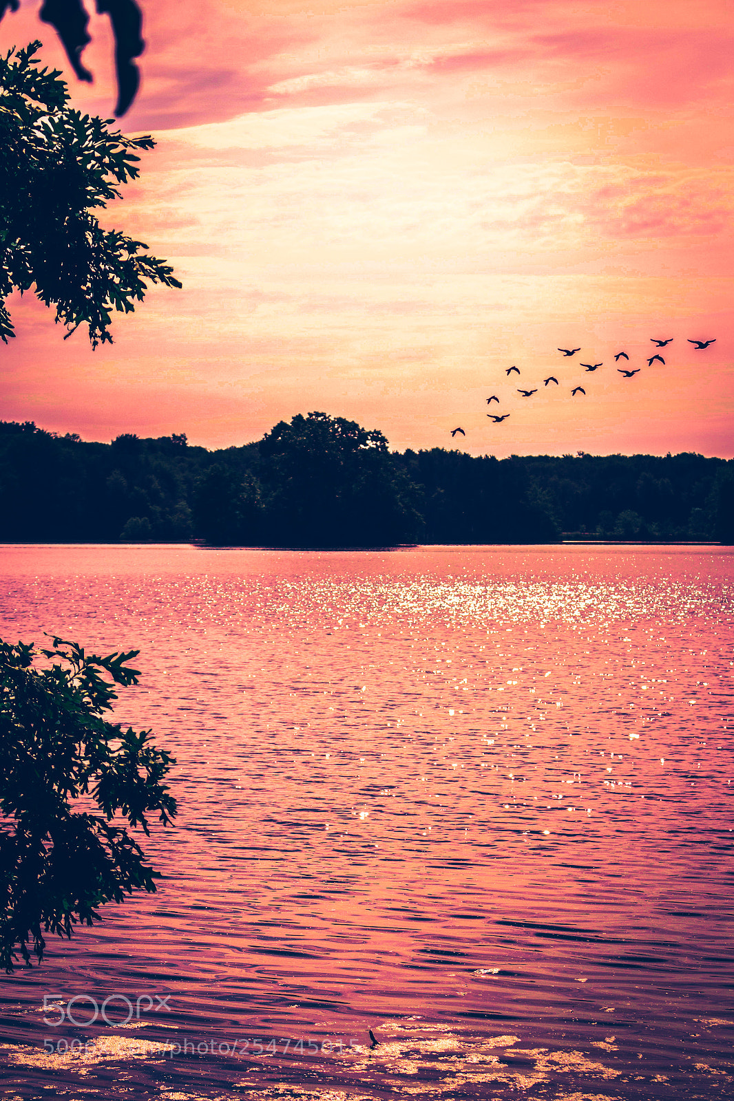 Canon EOS 700D (EOS Rebel T5i / EOS Kiss X7i) sample photo. Sun on the water photography