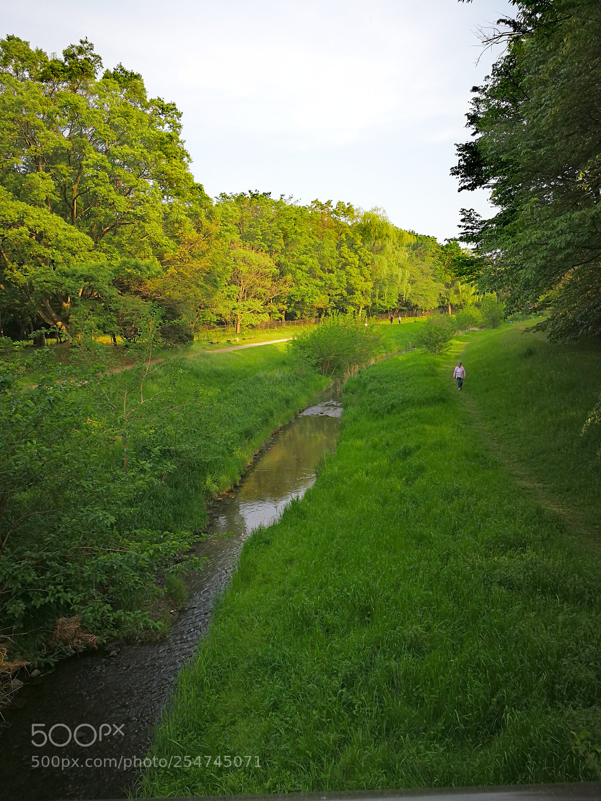 HUAWEI Mate 9 sample photo. 野川公園 photography