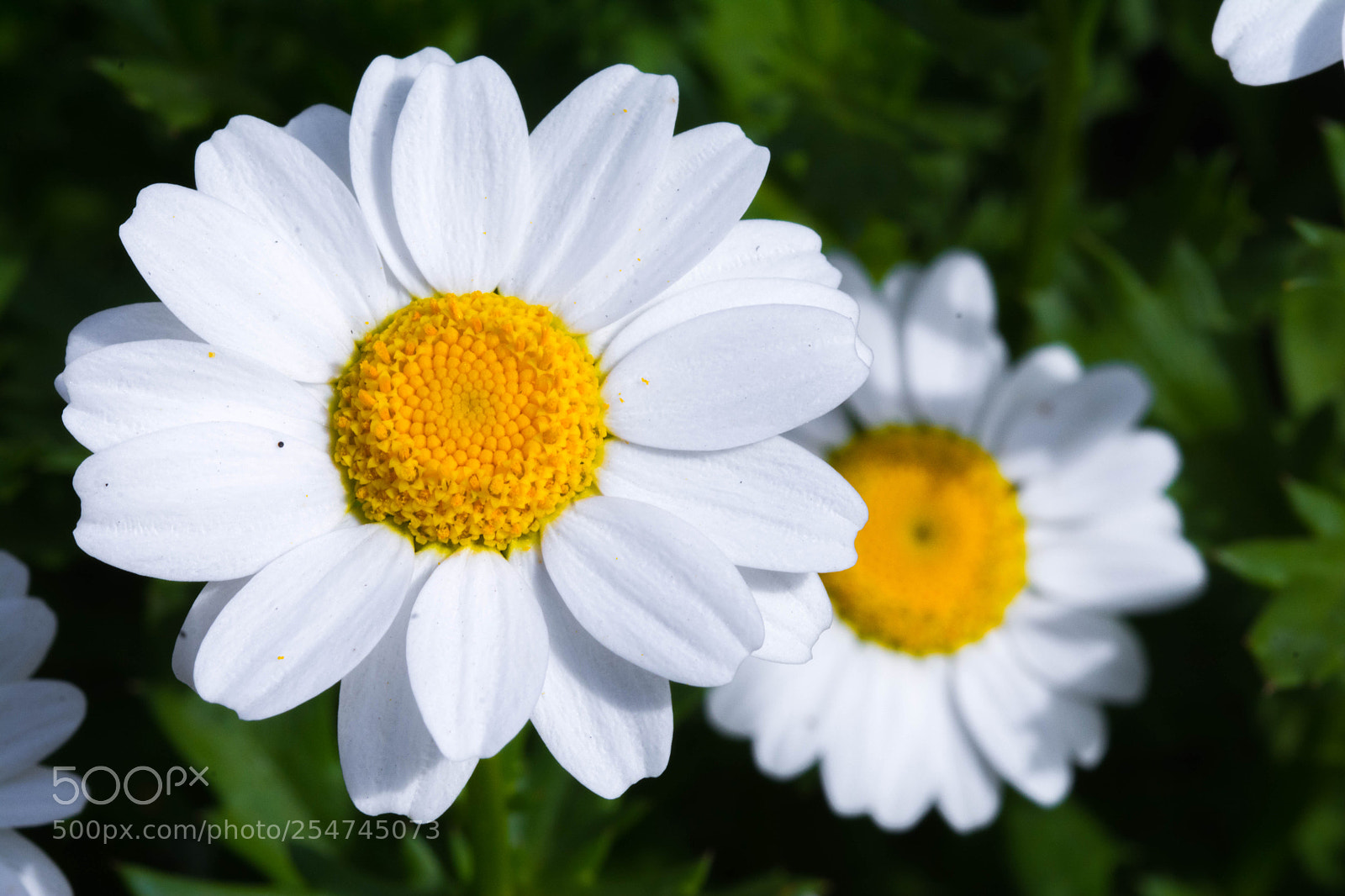 Nikon D7100 sample photo. In right time, show photography