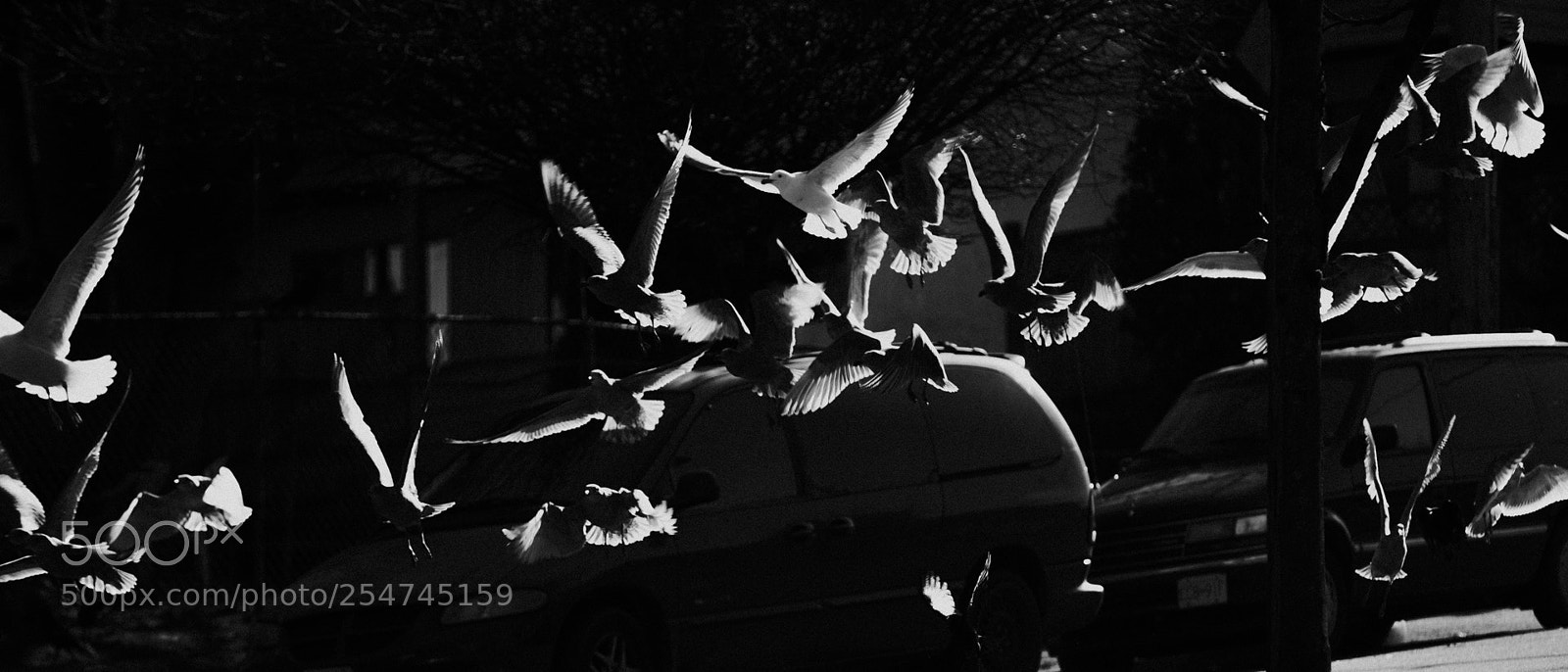 Sony a7S II sample photo. Vancouver in b&w photography