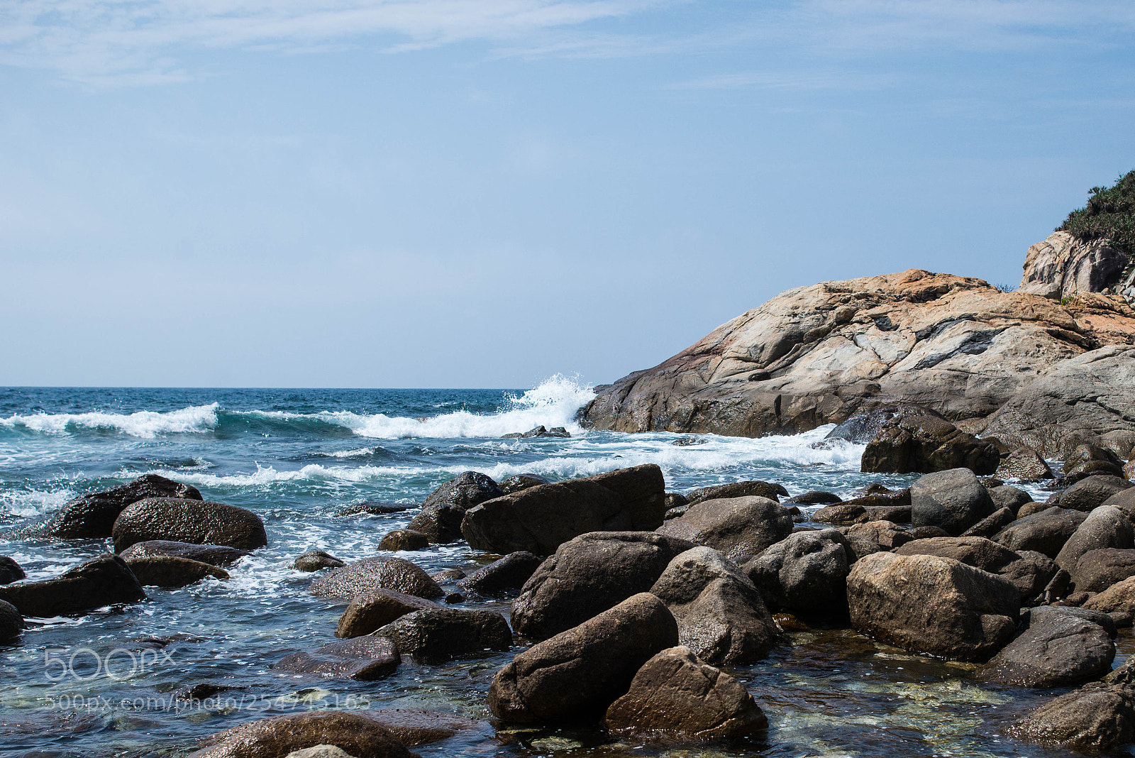 Nikon D610 sample photo. Untitled photography