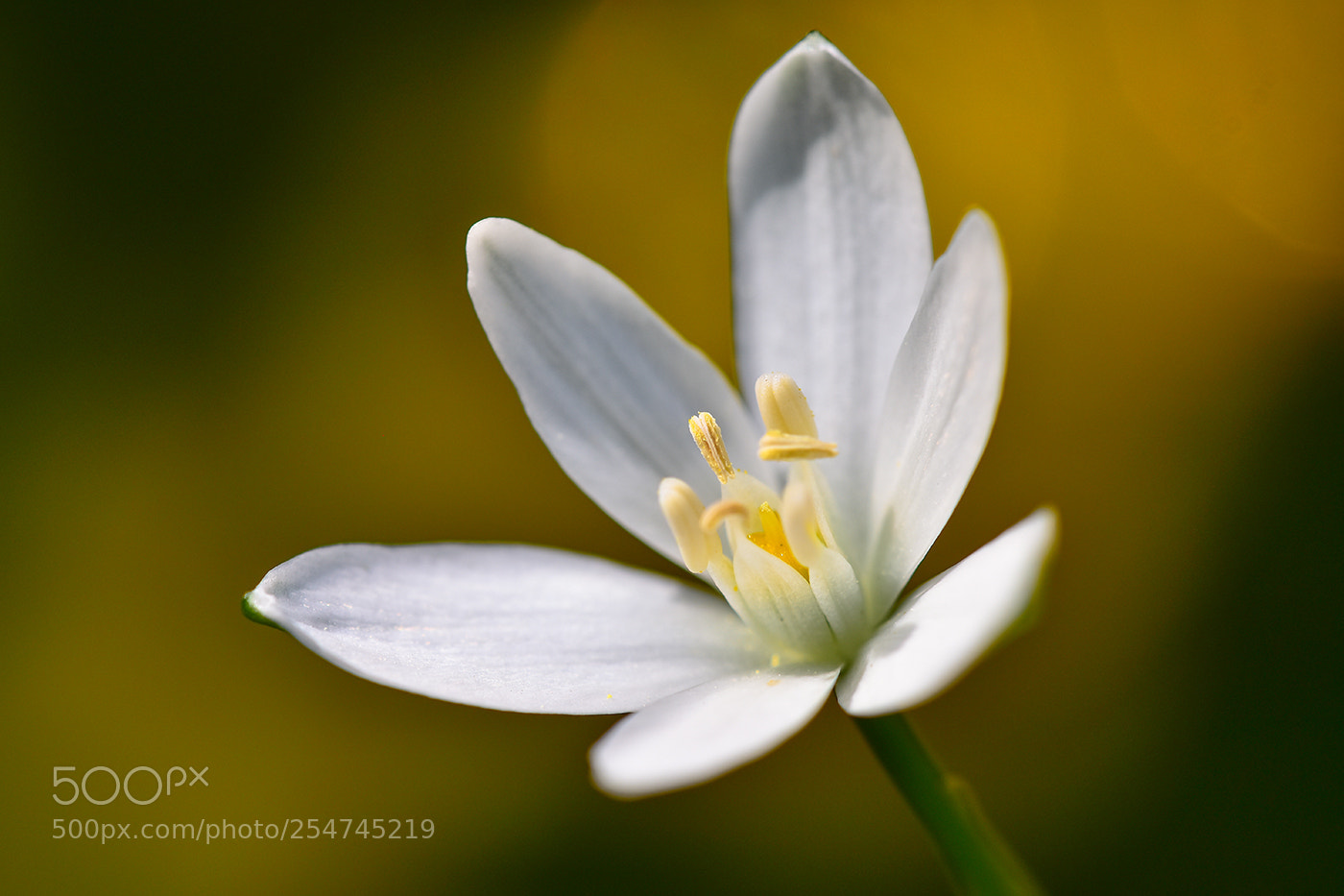 Nikon D7200 sample photo. 22.04.2018 - 2 photography