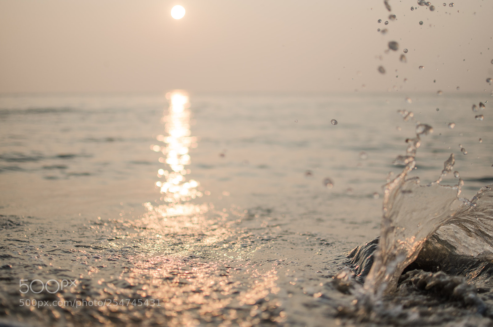 Nikon D5100 sample photo. A rock in the photography