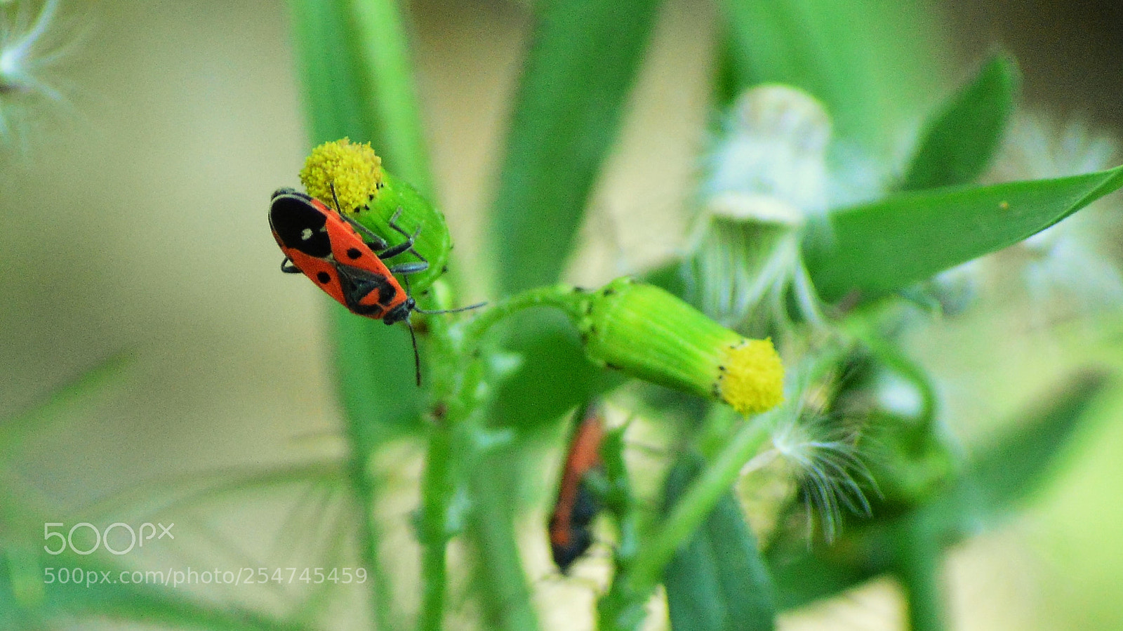 Nikon D3200 sample photo. Untitled photography