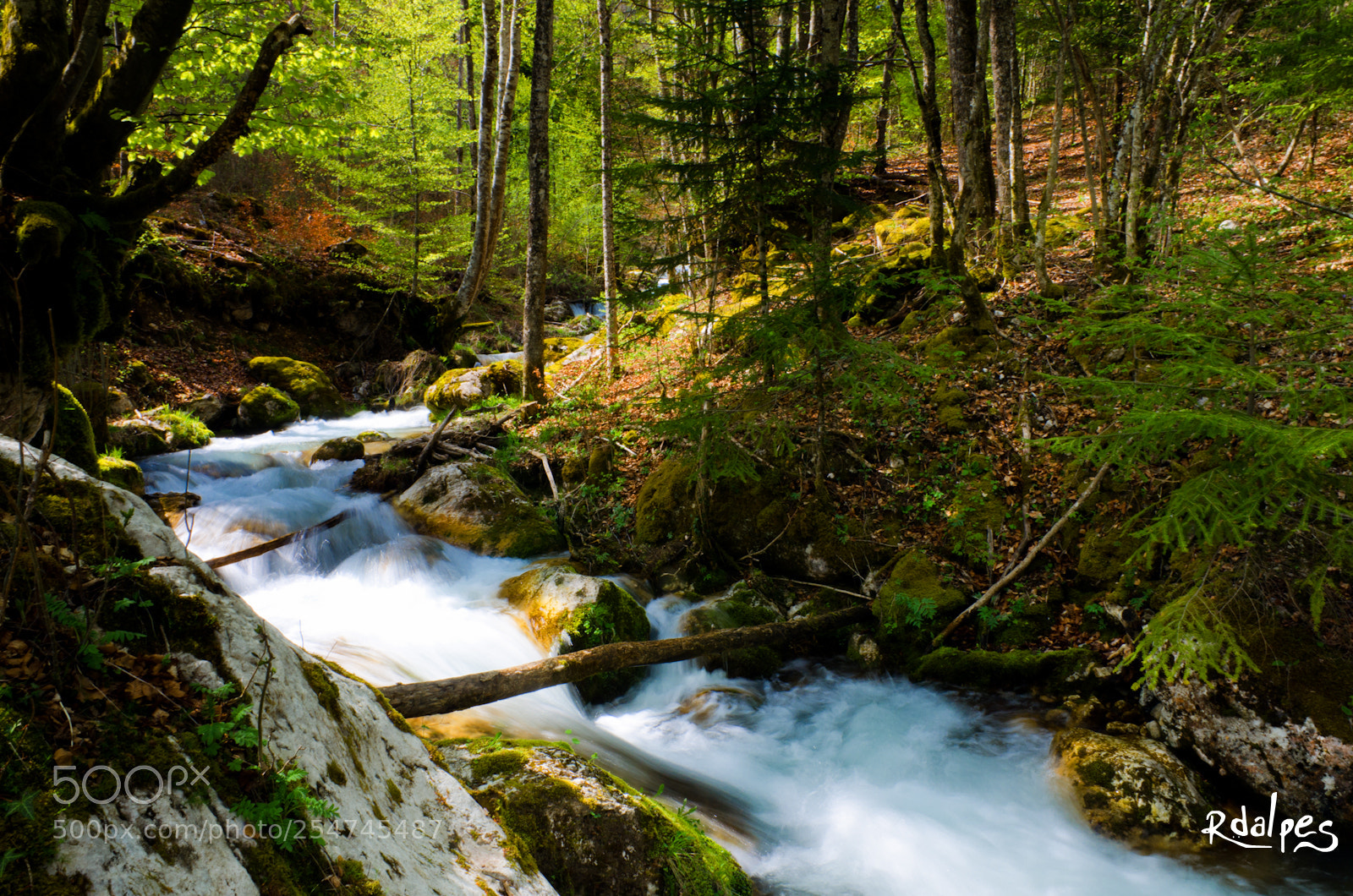 Nikon D7000 sample photo. Le torrent photography