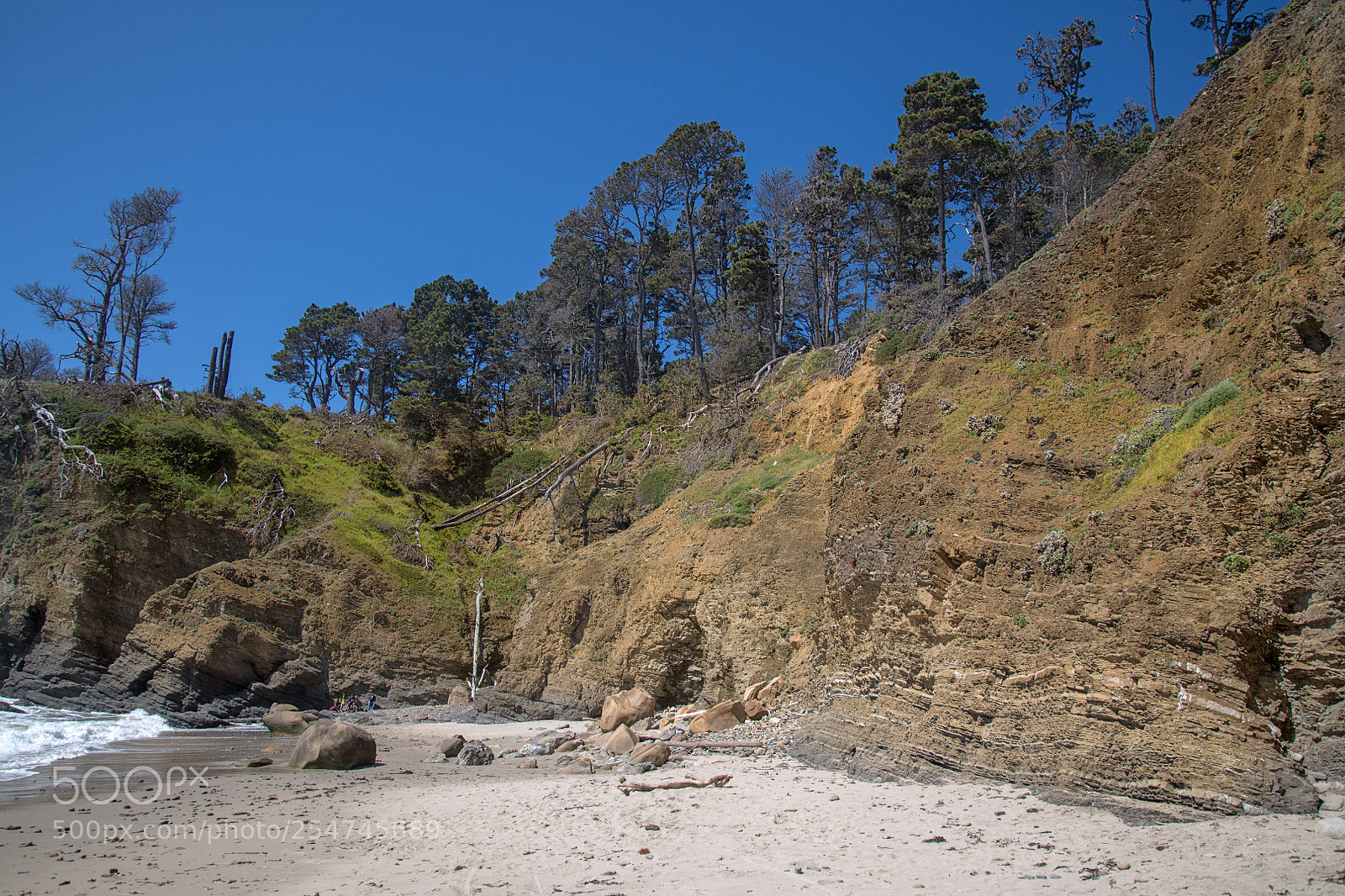 Nikon D850 sample photo. Stump beach california photography