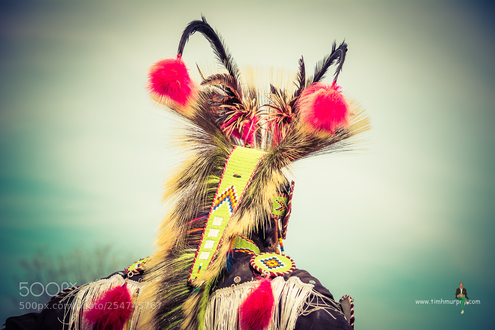 Nikon D7100 sample photo. Chicken dancer photography