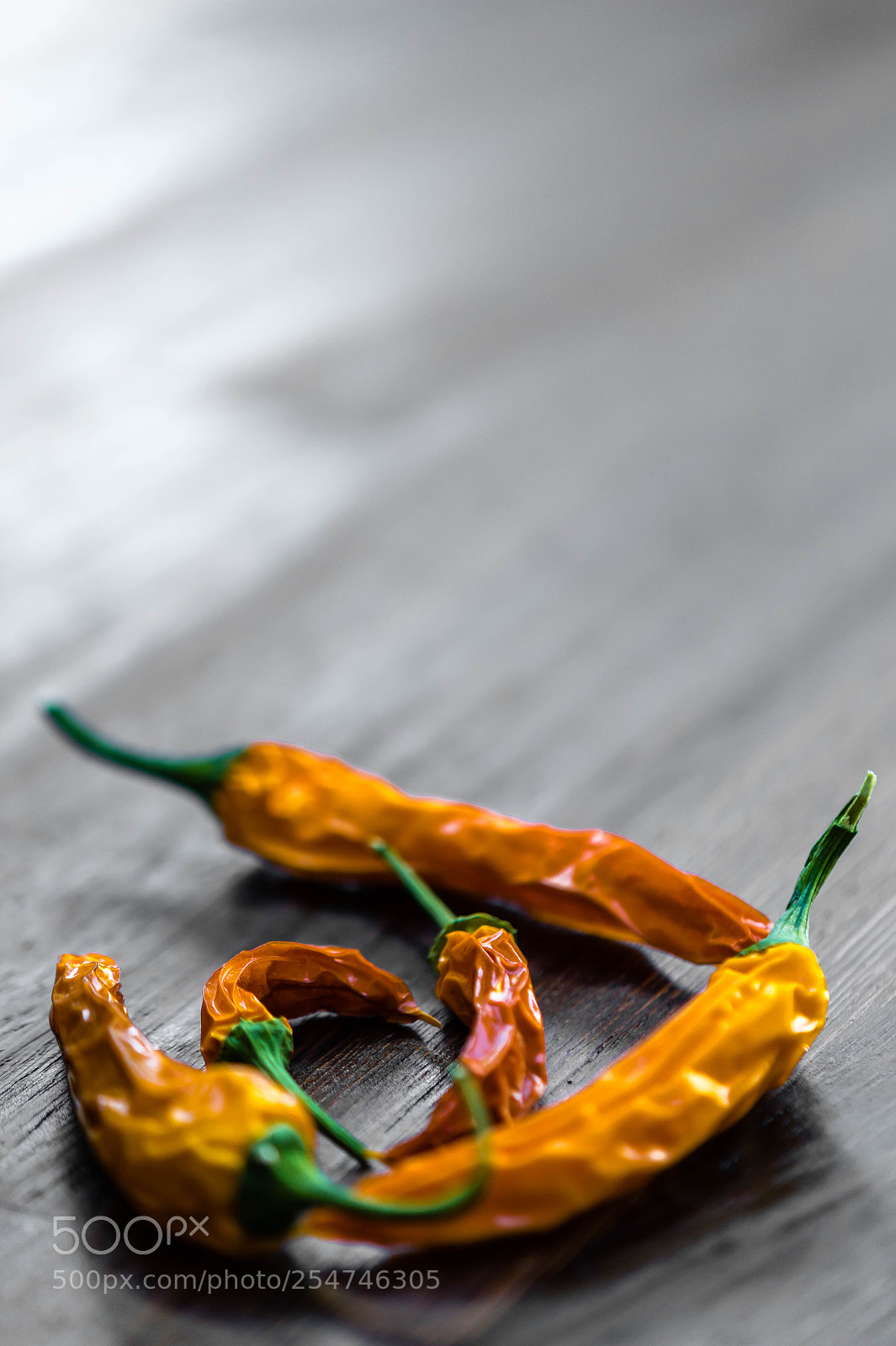 Nikon D850 sample photo. Chilli out photography