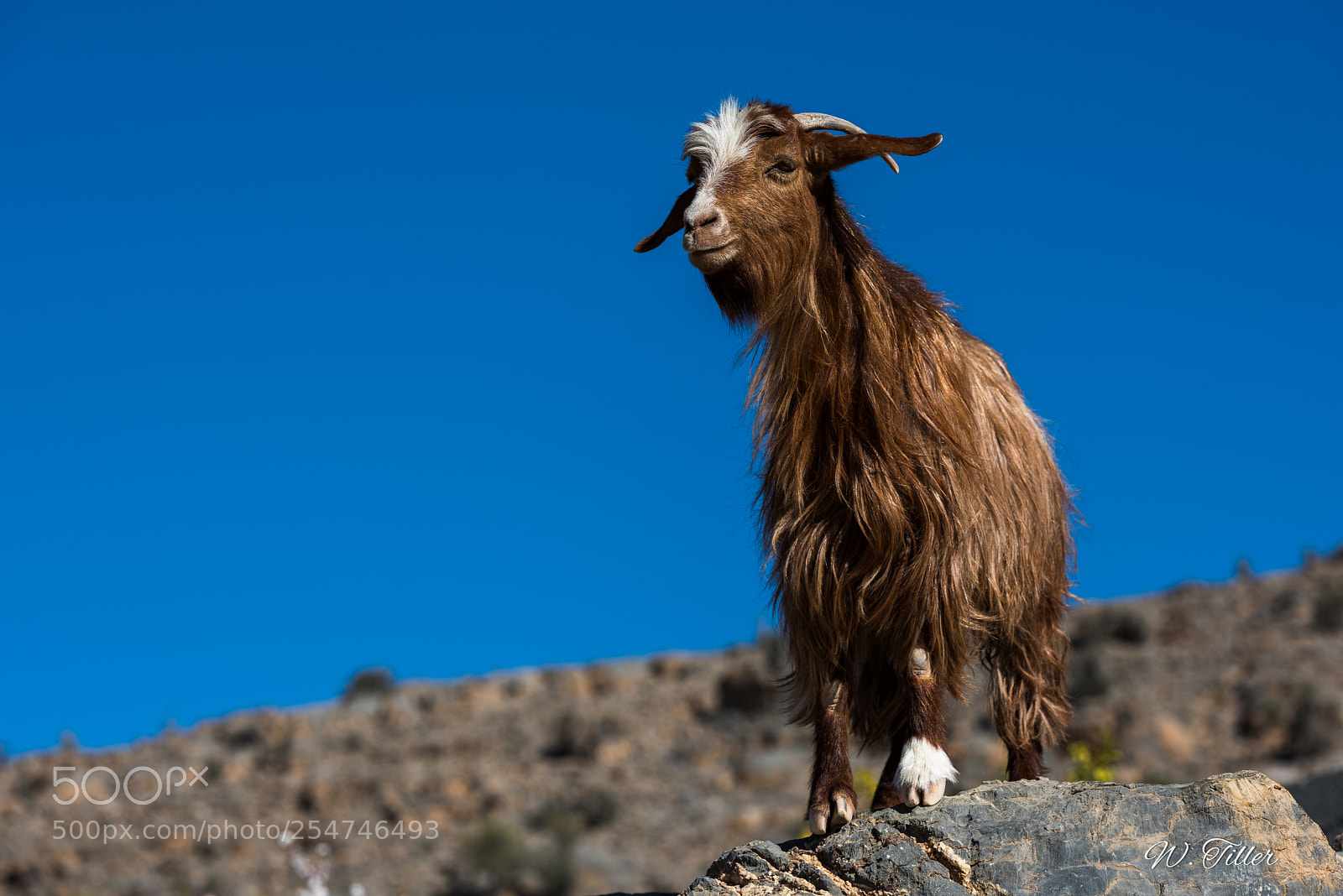 Nikon D810 sample photo. Jebel akhdar photography