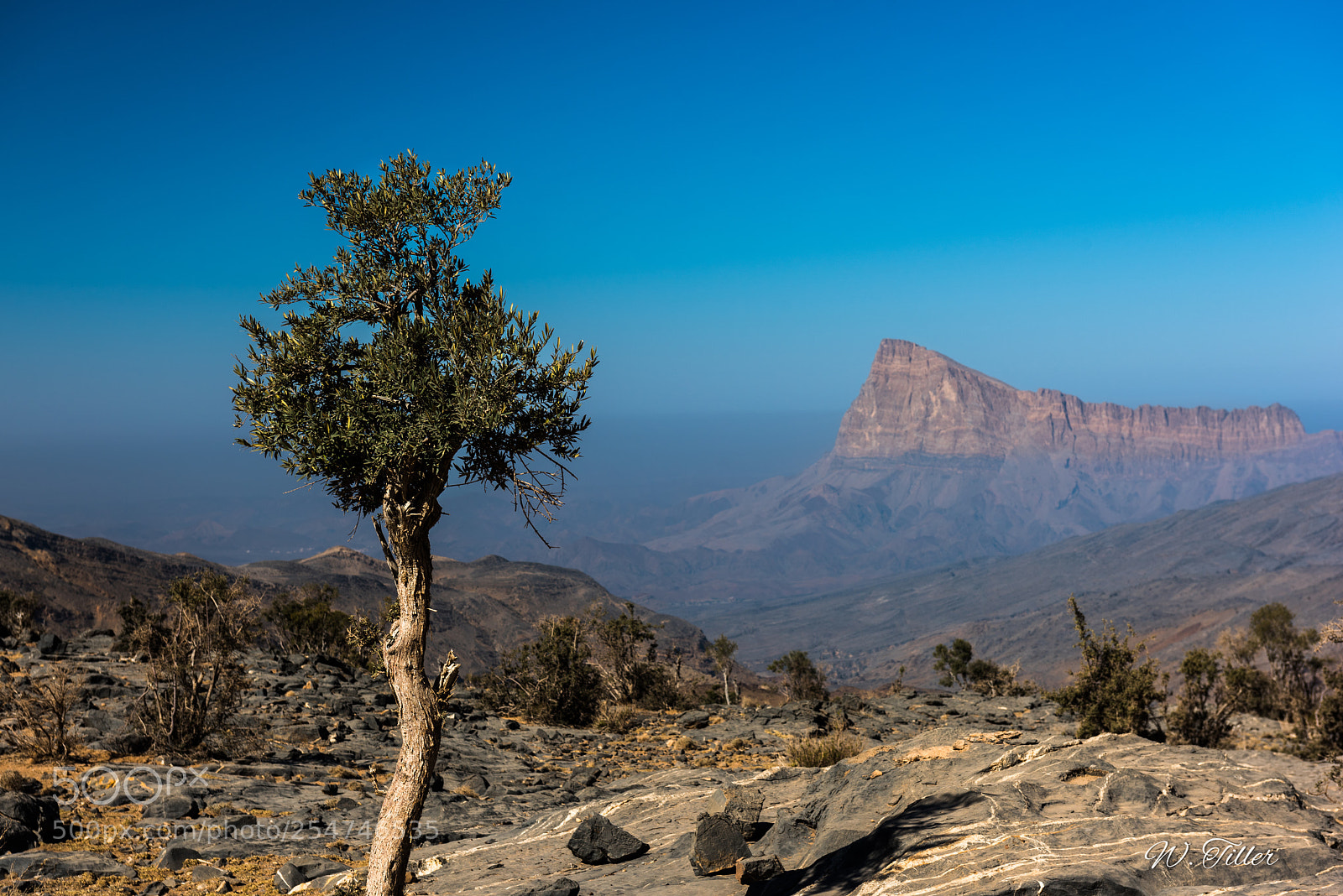 Nikon D810 sample photo. Jebel akhdar photography