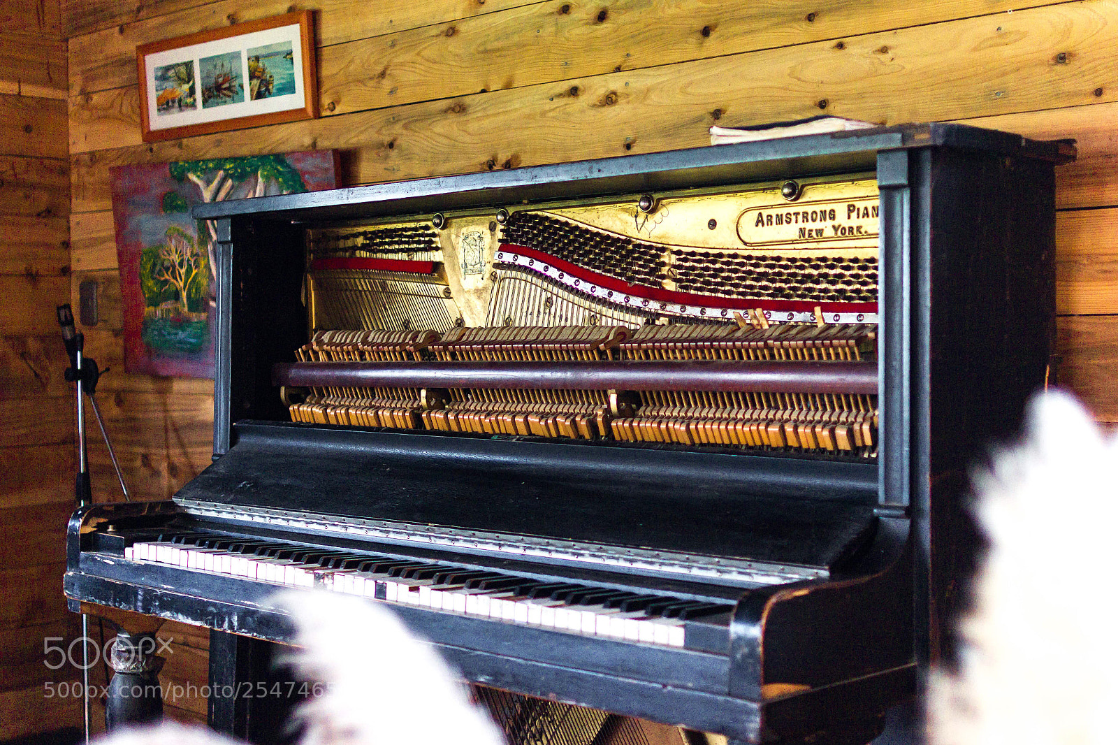 Canon EOS 550D (EOS Rebel T2i / EOS Kiss X4) sample photo. Piano armstrong photography