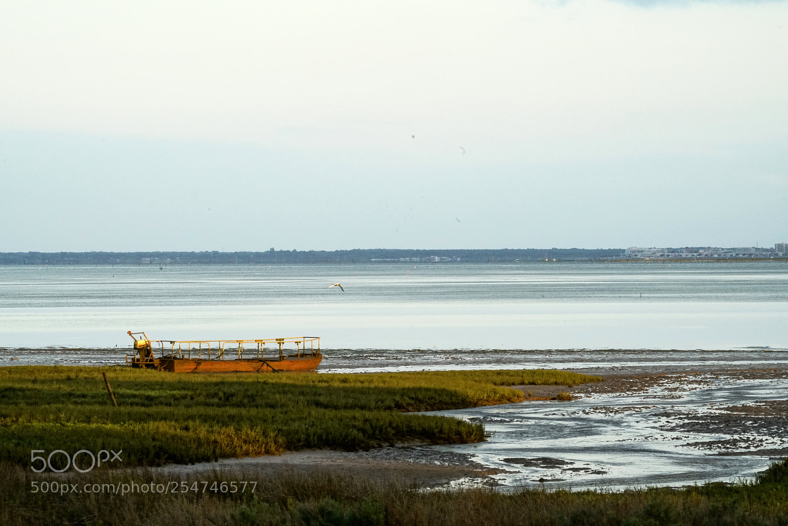 Sony a7R II sample photo. Untitled photography