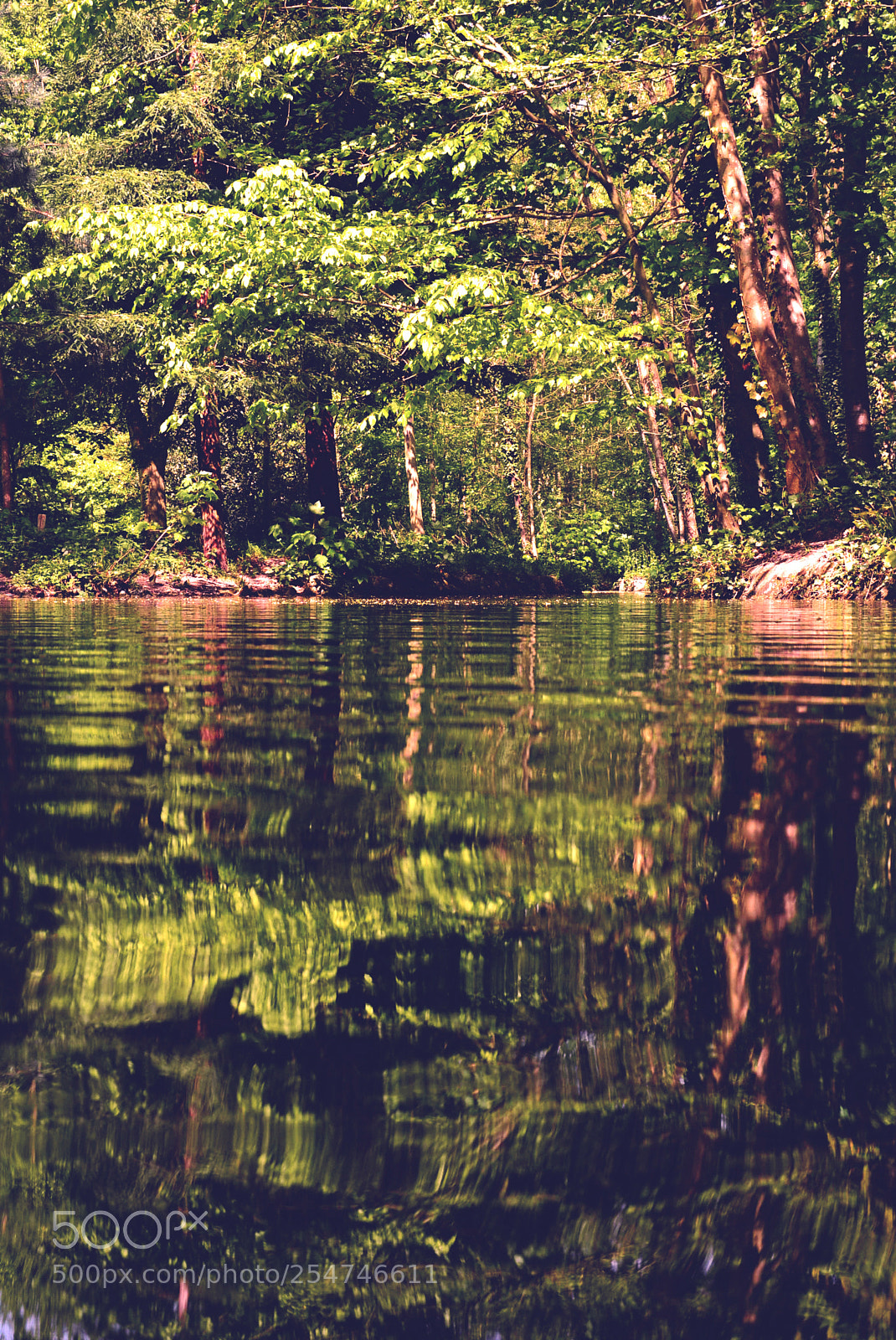 Nikon D5200 sample photo. Lake photography