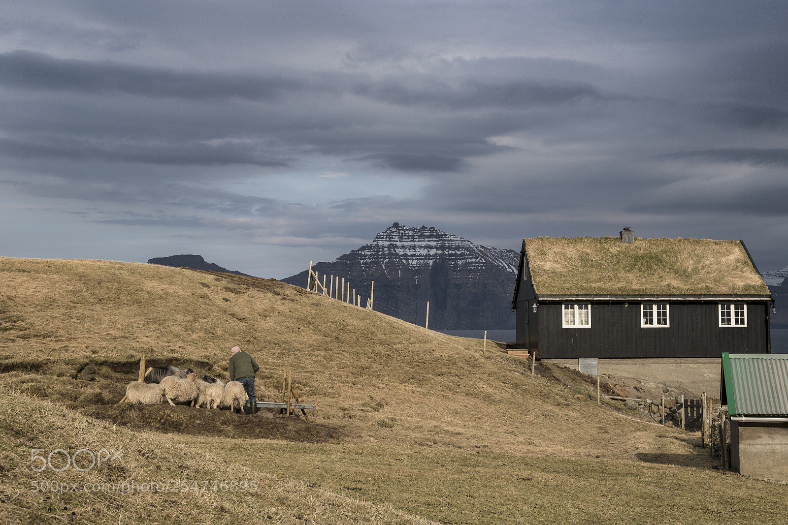 Canon EOS 6D Mark II sample photo. Faroe impressions 3 photography