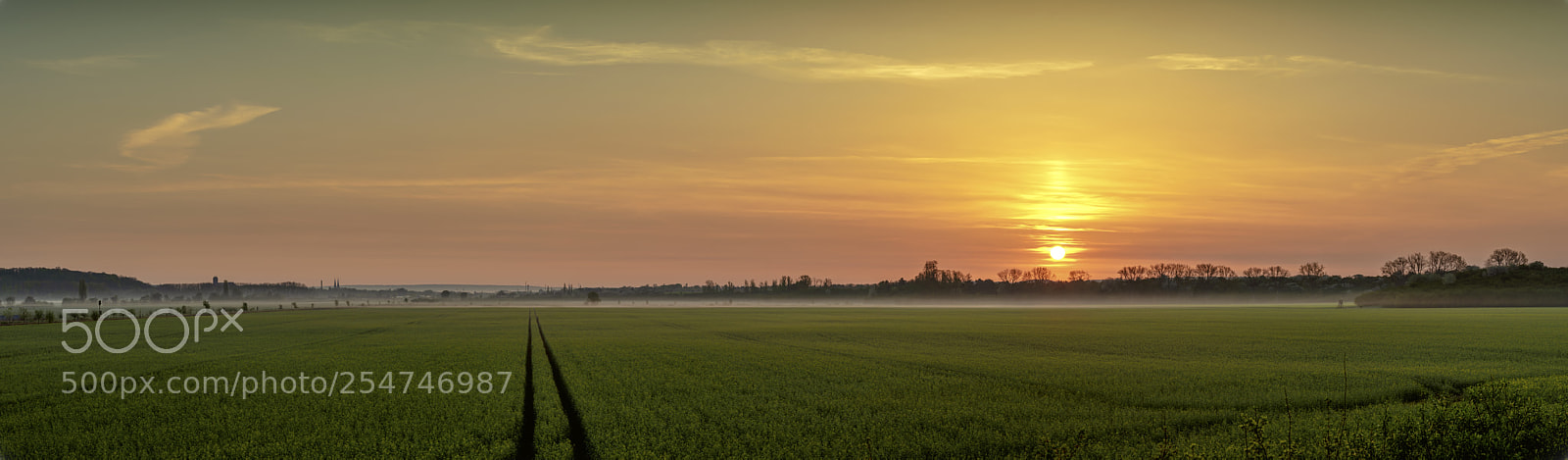 Nikon D810 sample photo. Silence is golden photography