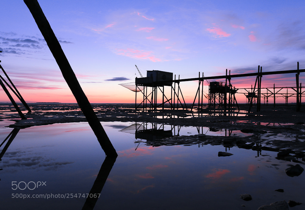 Canon EOS 5D Mark II sample photo. Carrelets 2 photography