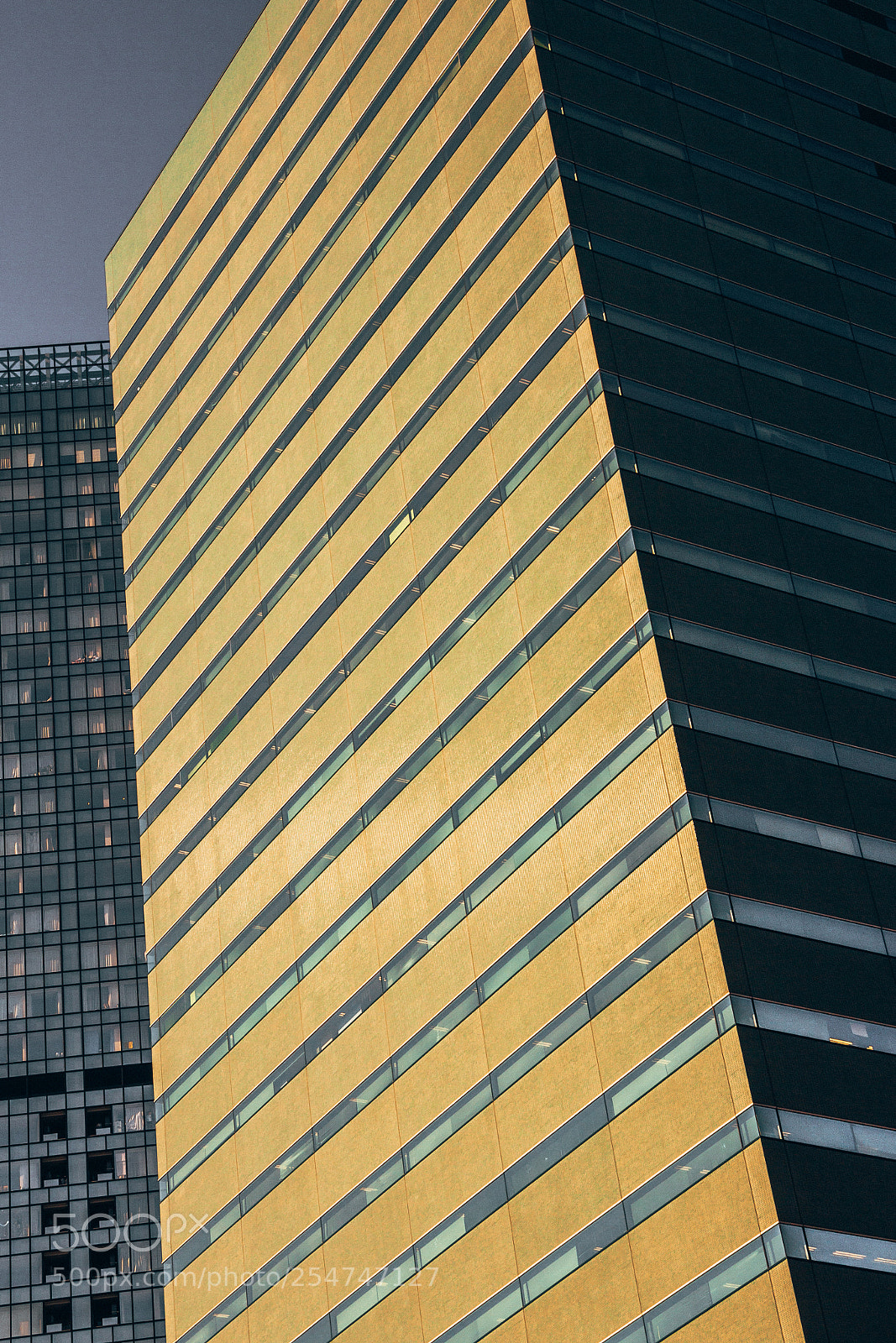 Canon EOS 60D sample photo. Parallel photography