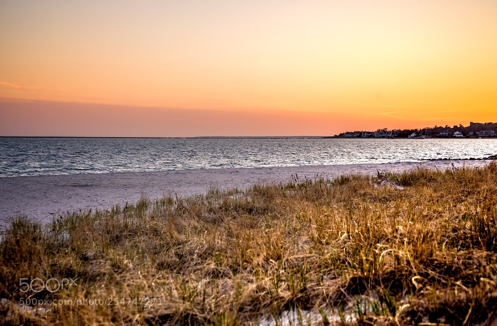 Nikon D610 sample photo. Cc photography