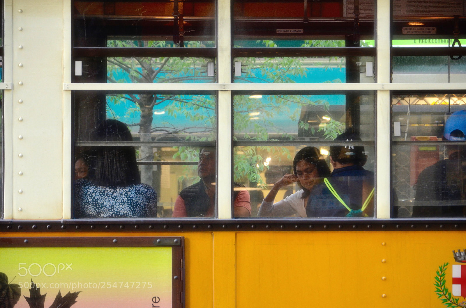 Nikon D7000 sample photo. Coming home, tired photography